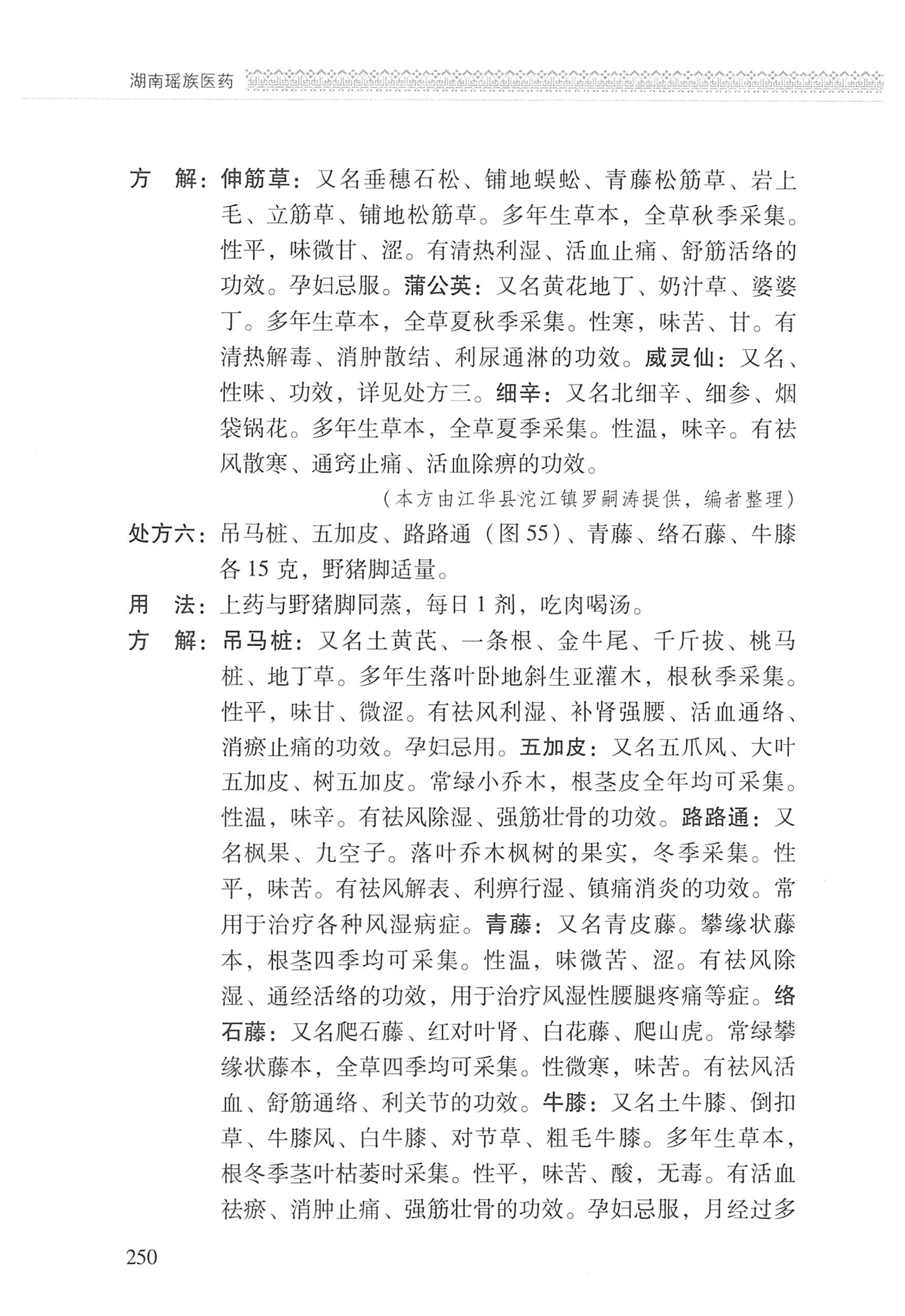 湖南瑶族医药_351.jpg