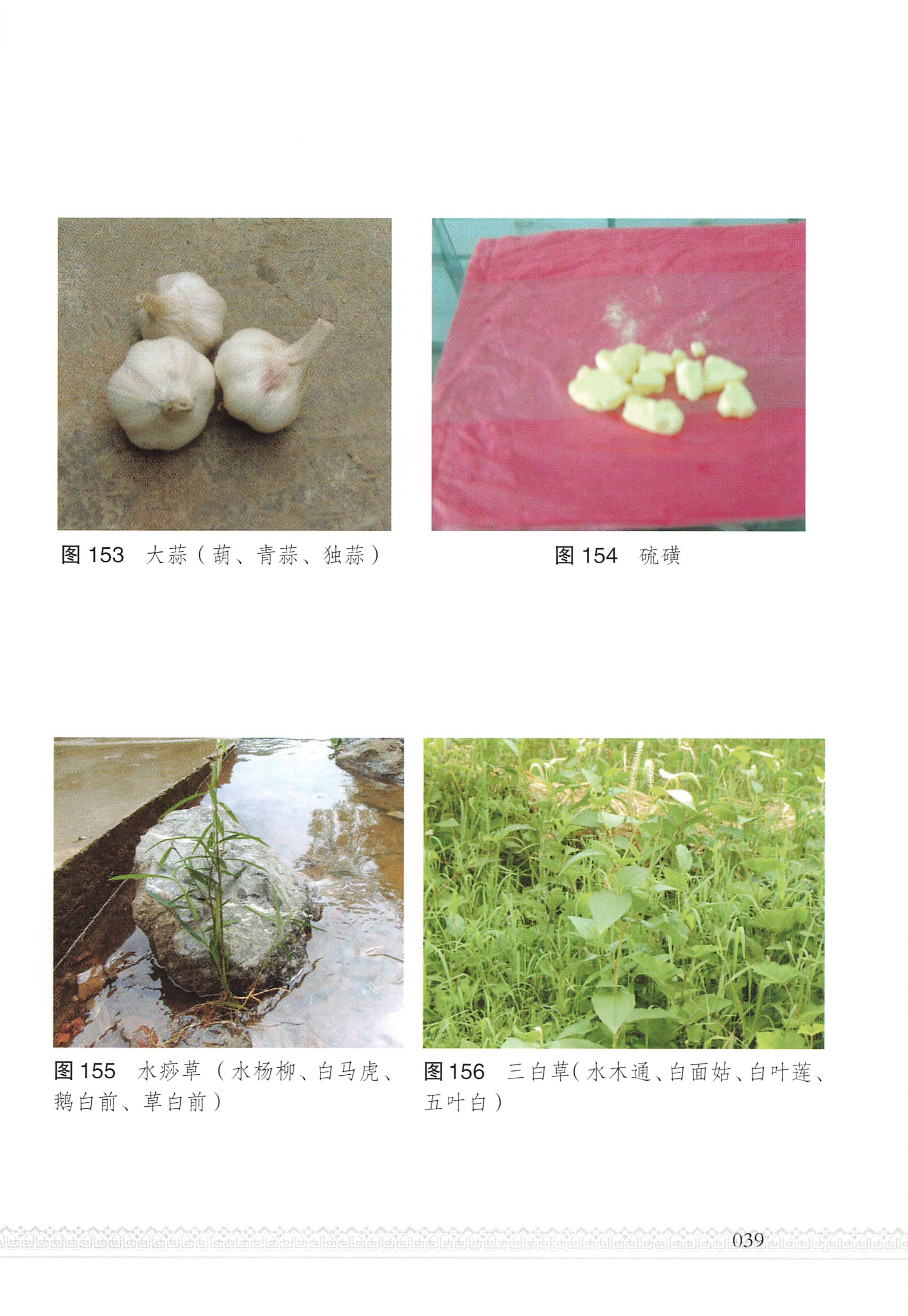 湖南瑶族医药_44.jpg