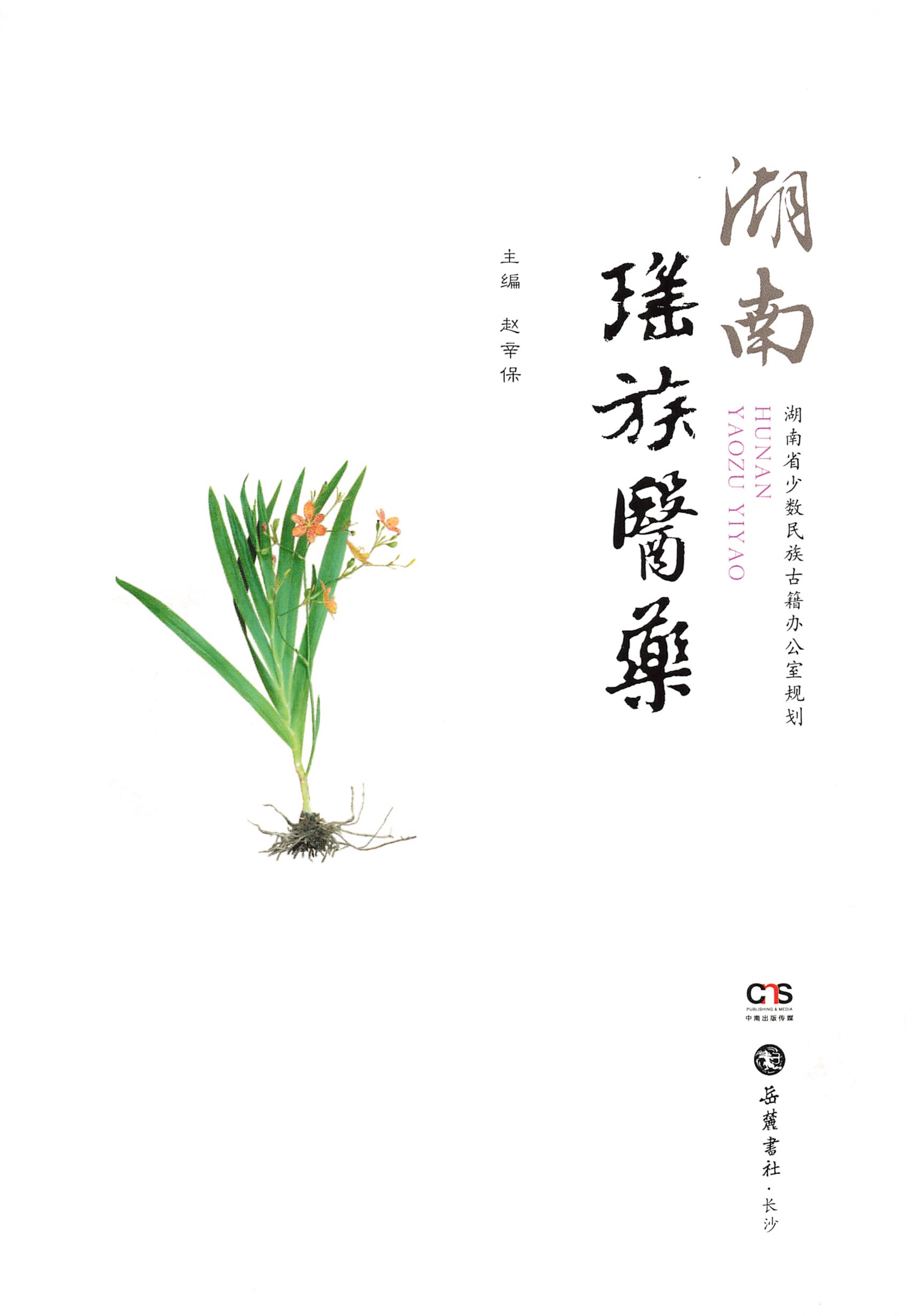 湖南瑶族医药_02.jpg