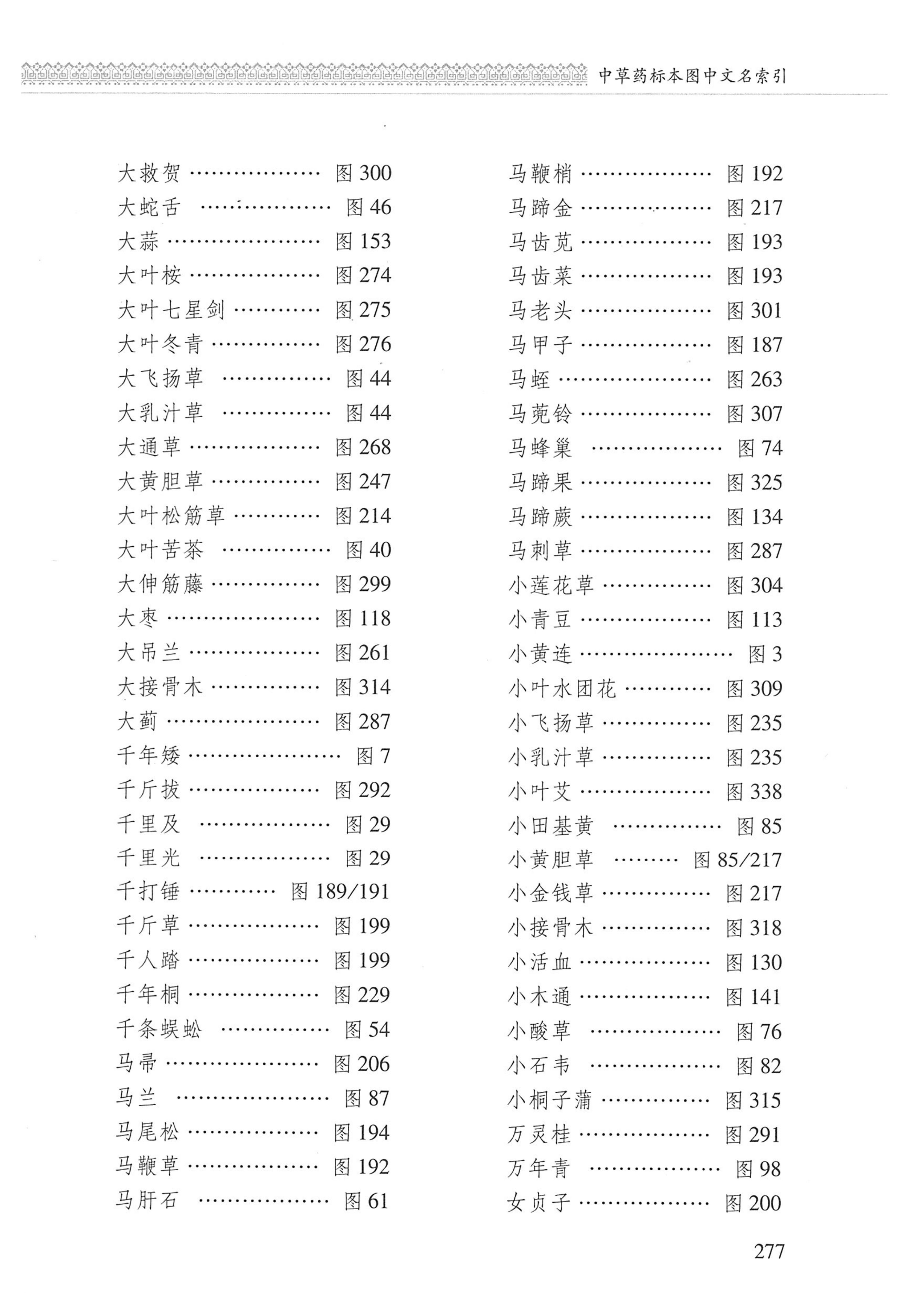湖南瑶族医药_378.jpg