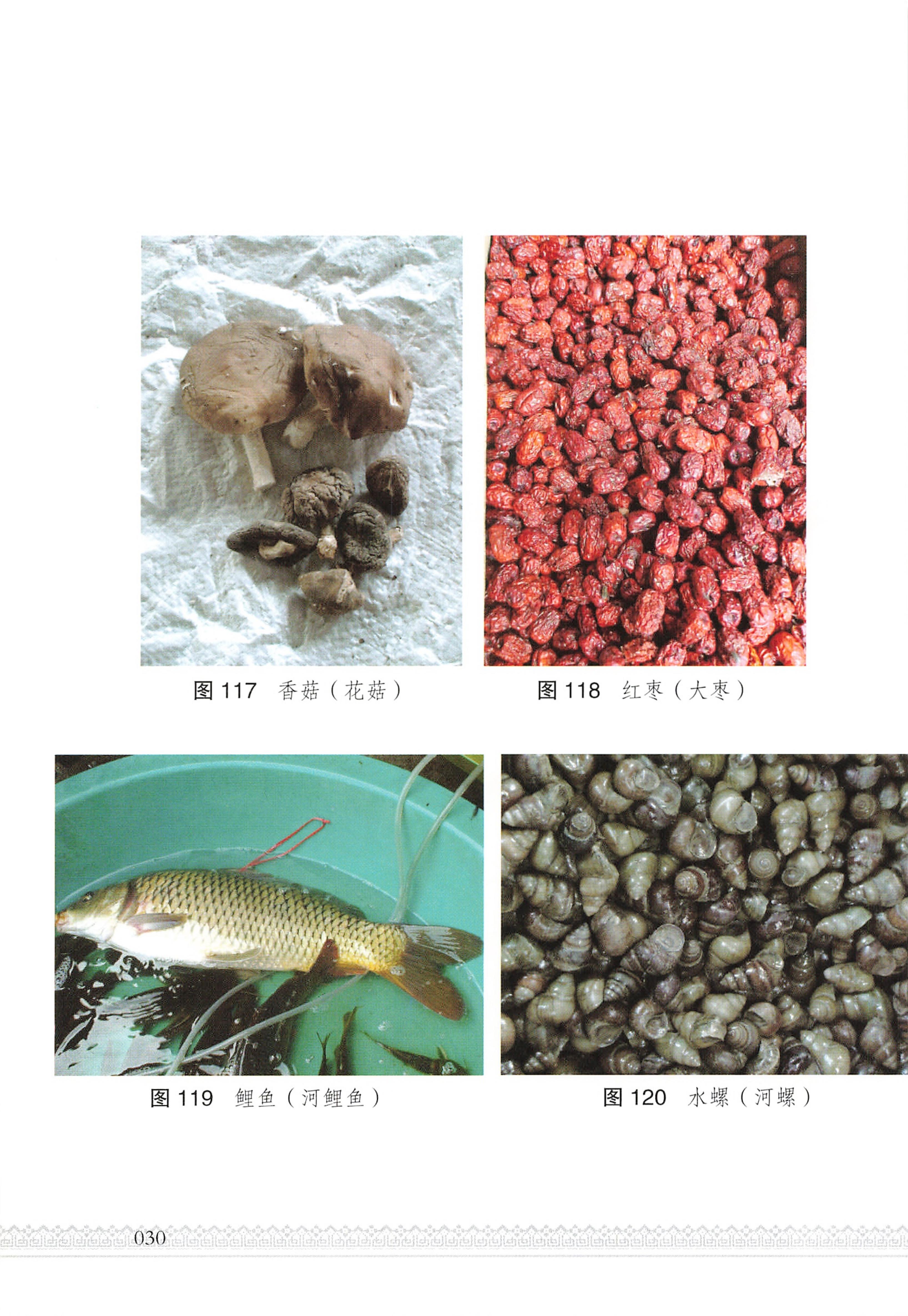 湖南瑶族医药_35.jpg