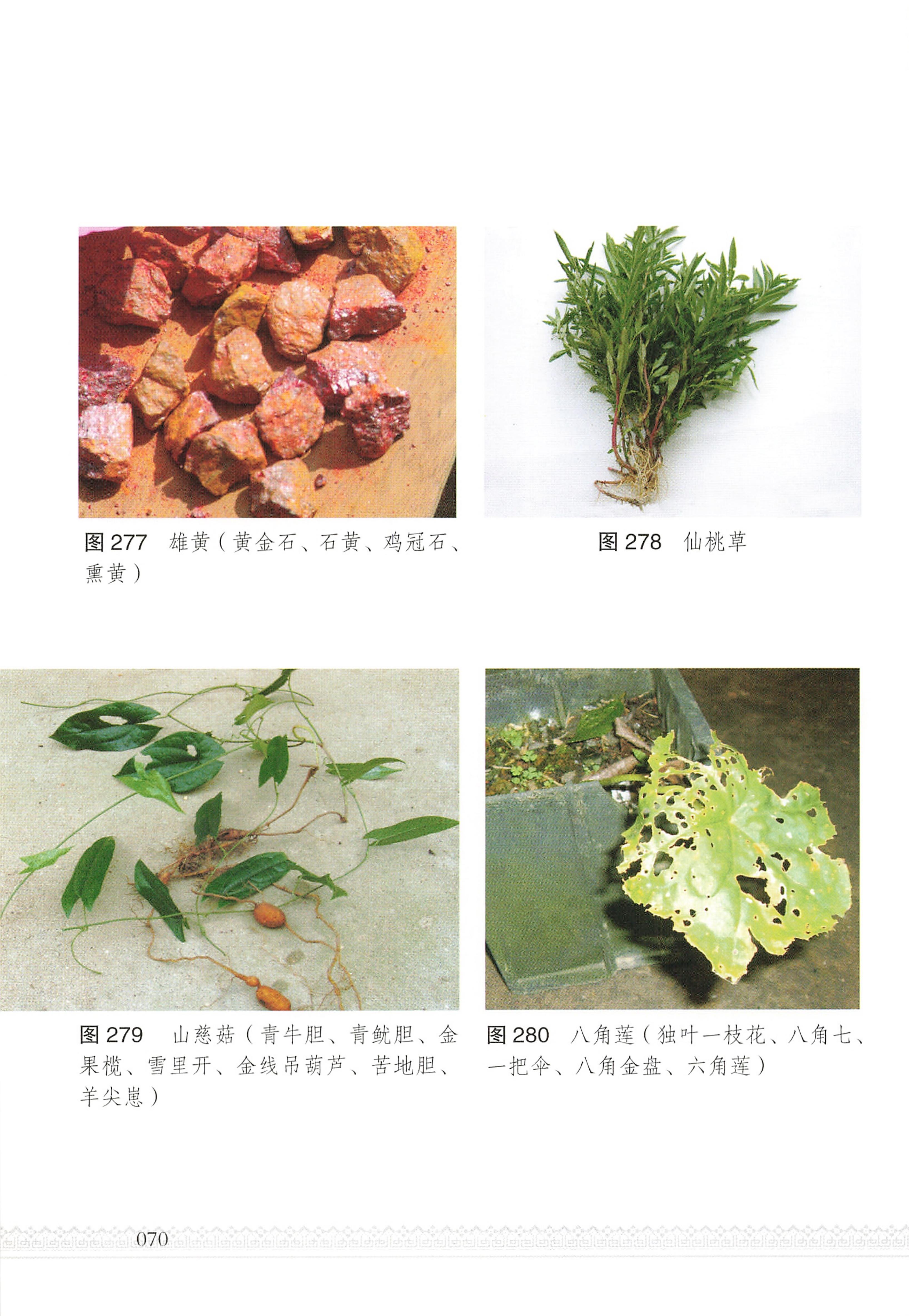 湖南瑶族医药_75.jpg