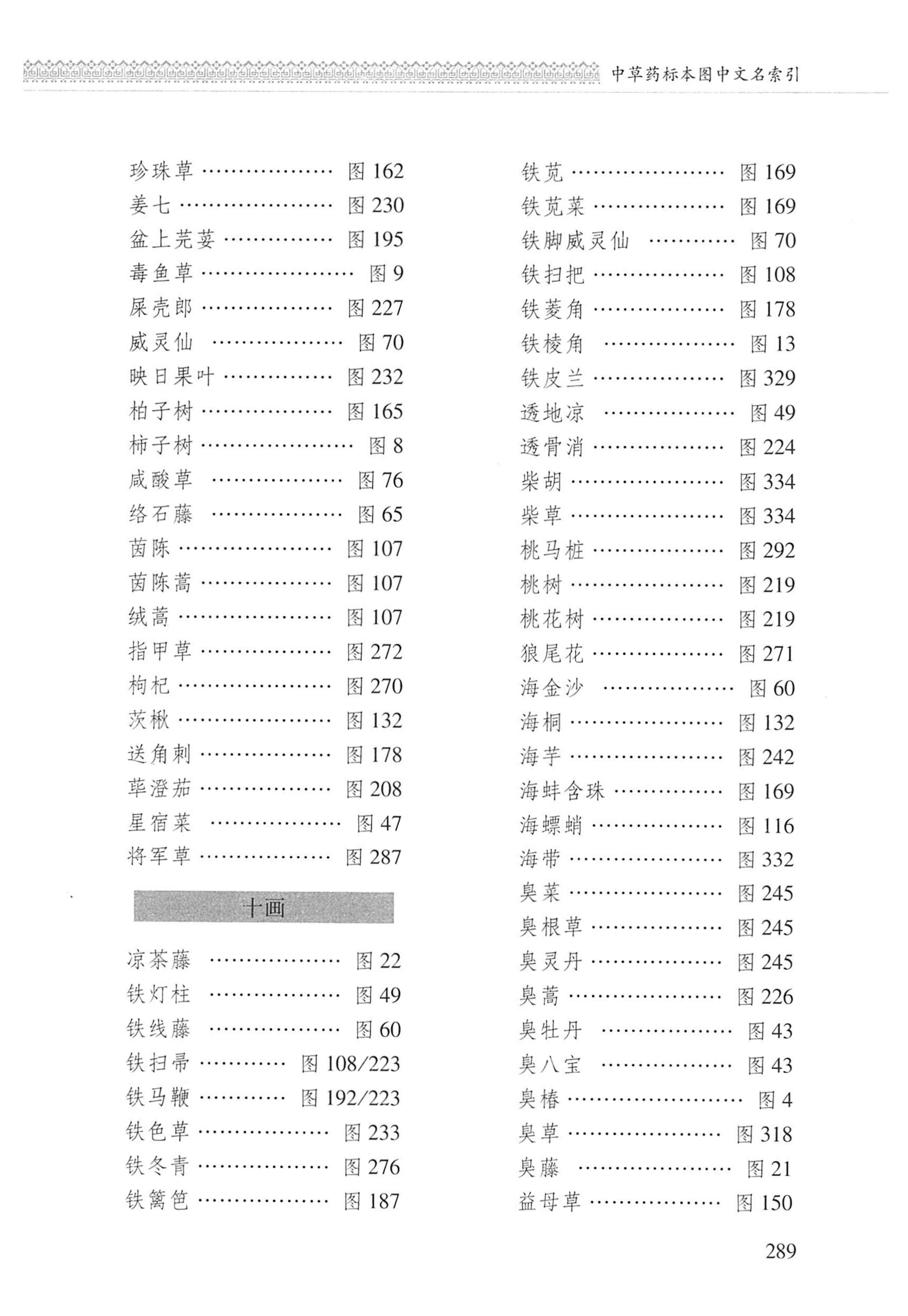 湖南瑶族医药_390.jpg