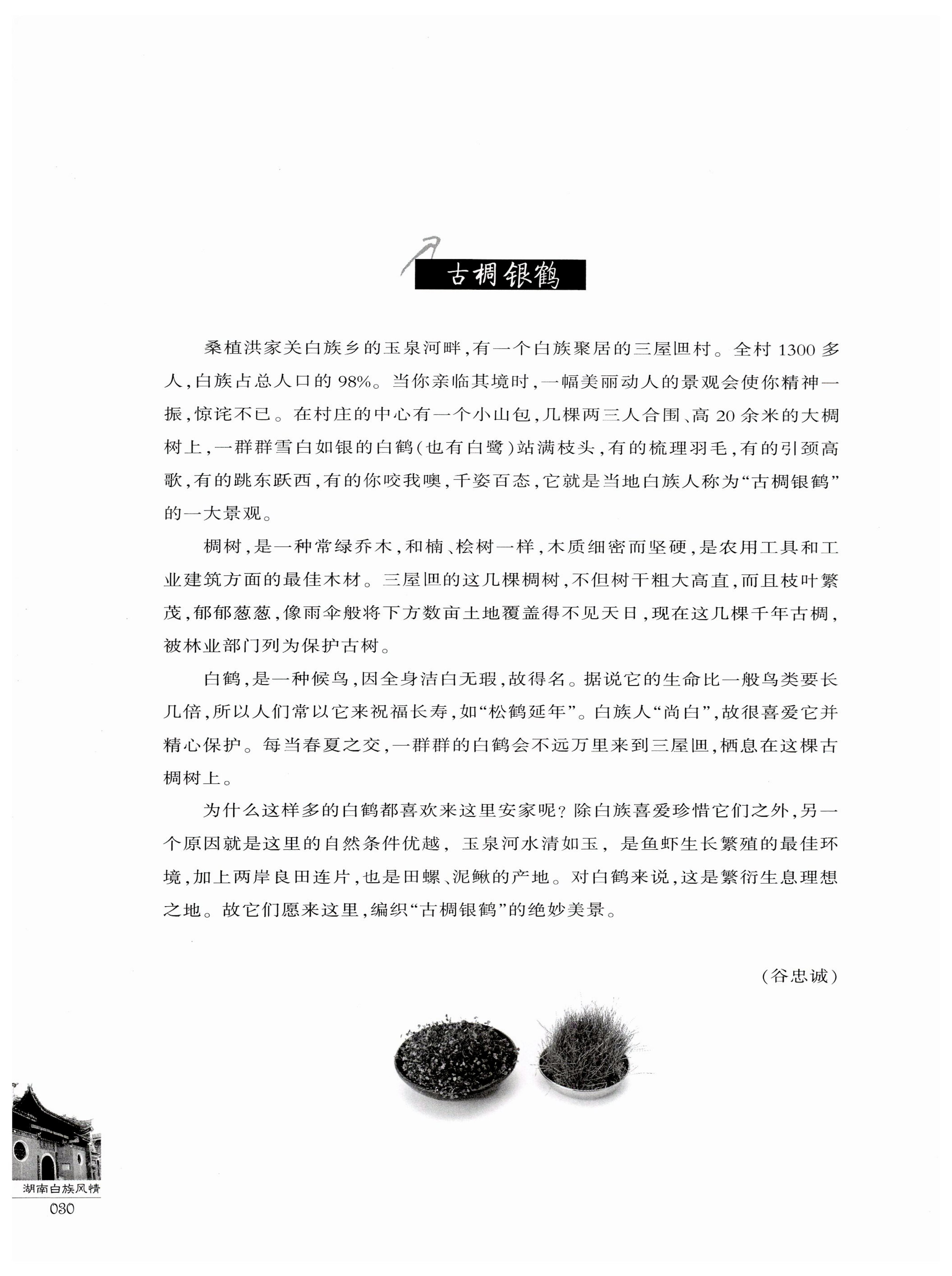 湖南白族风情_32.jpg