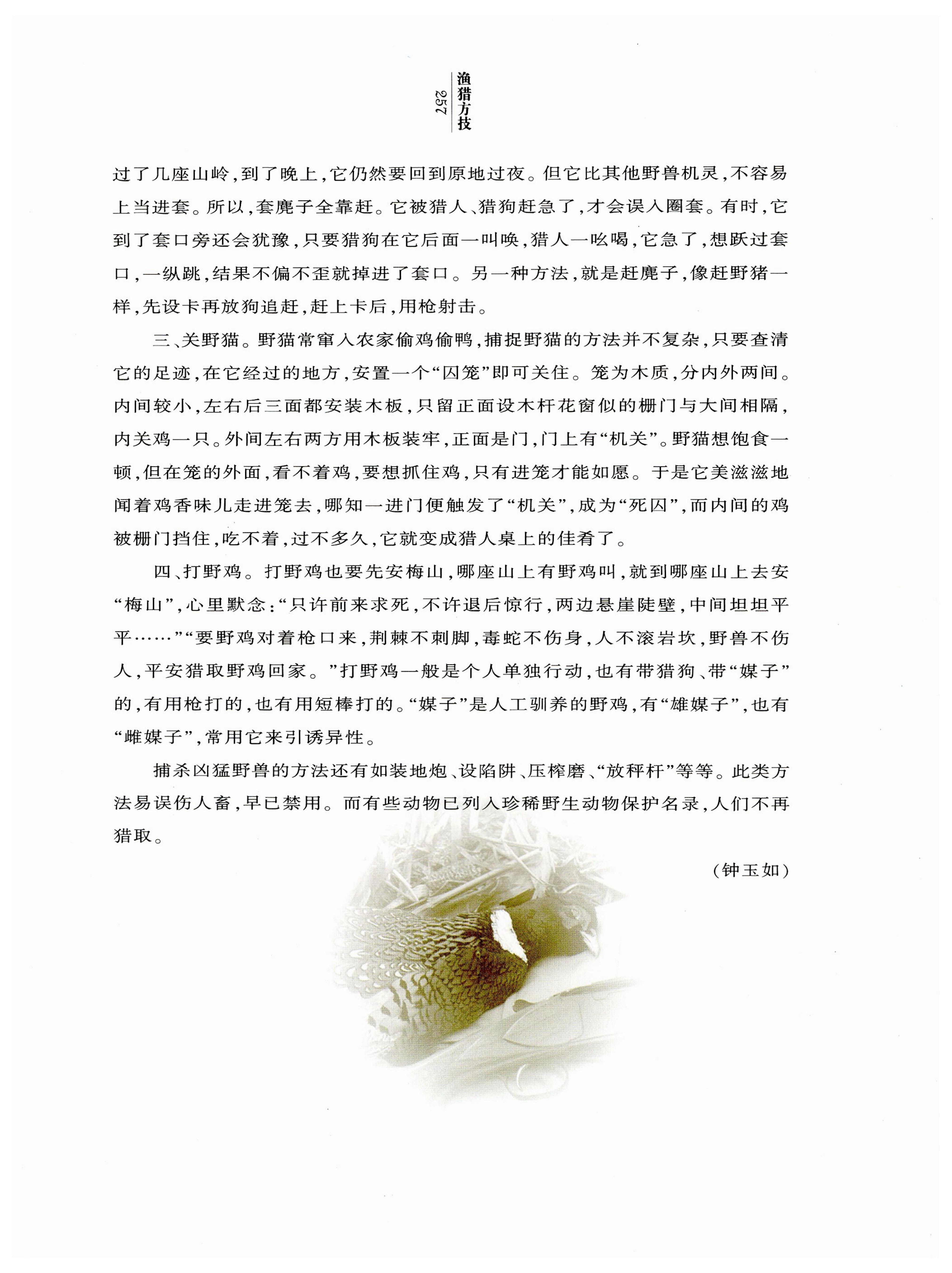 湖南白族风情_259.jpg