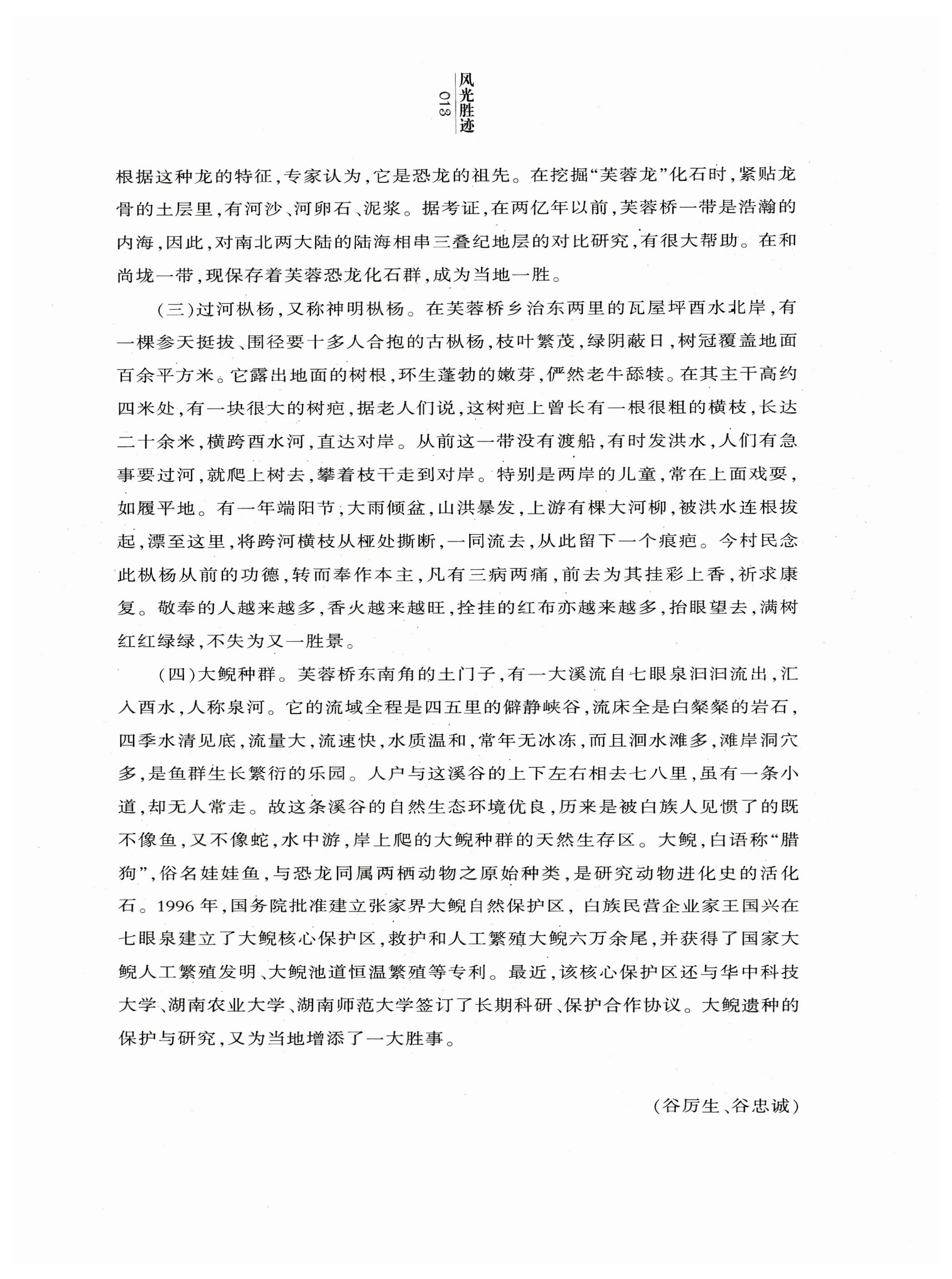 湖南白族风情_15.jpg