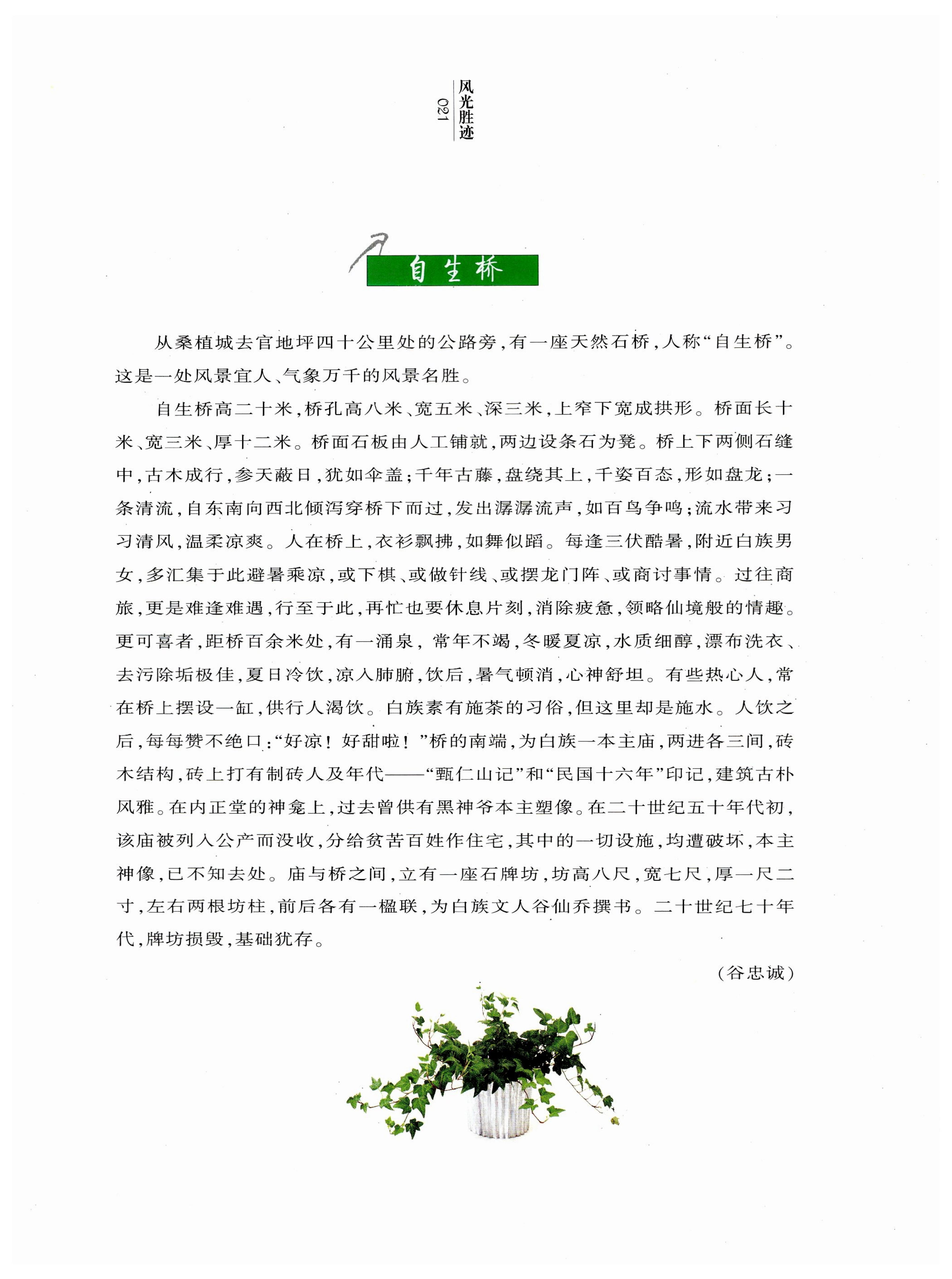 湖南白族风情_23.jpg