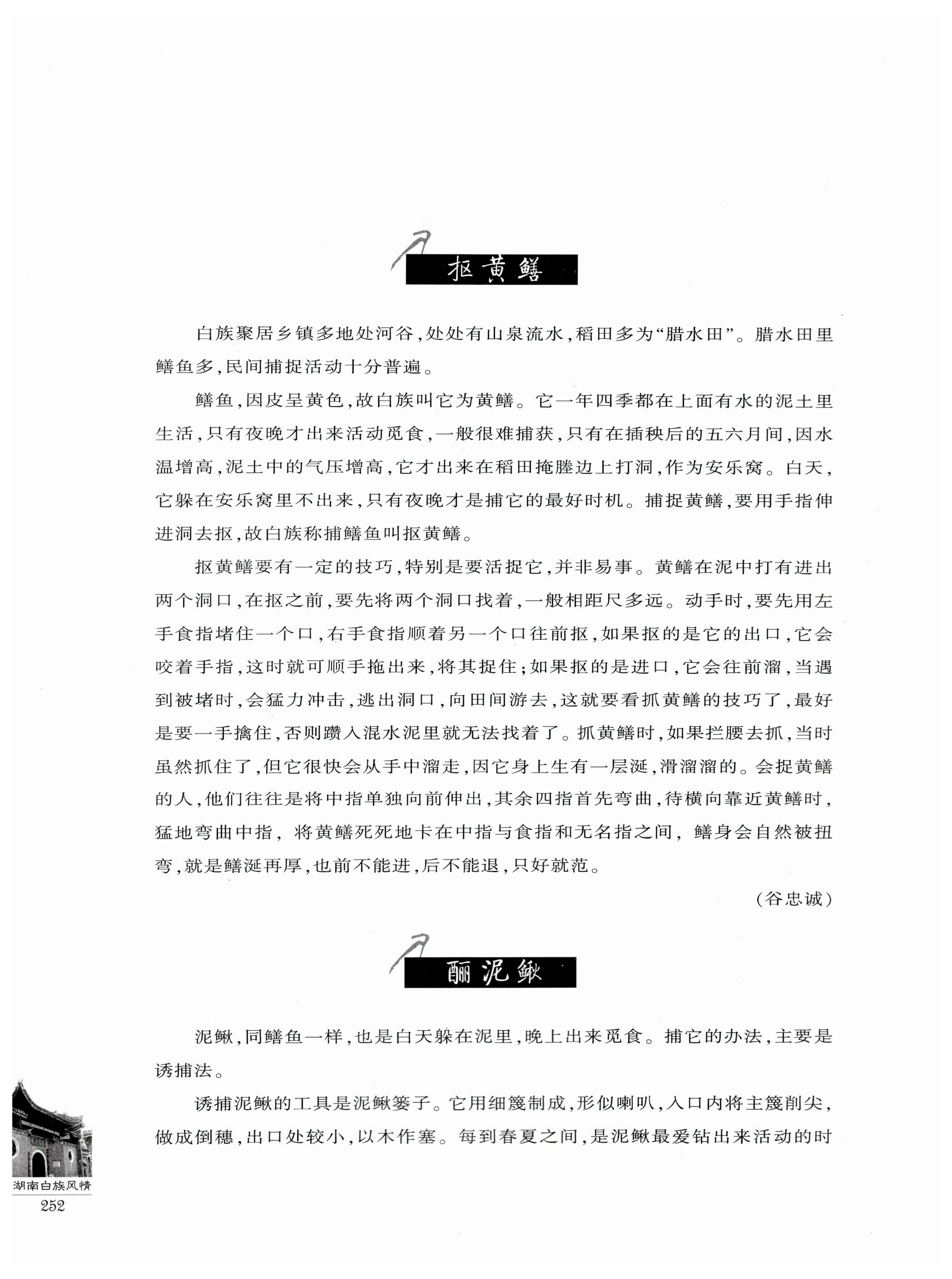 湖南白族风情_254.jpg