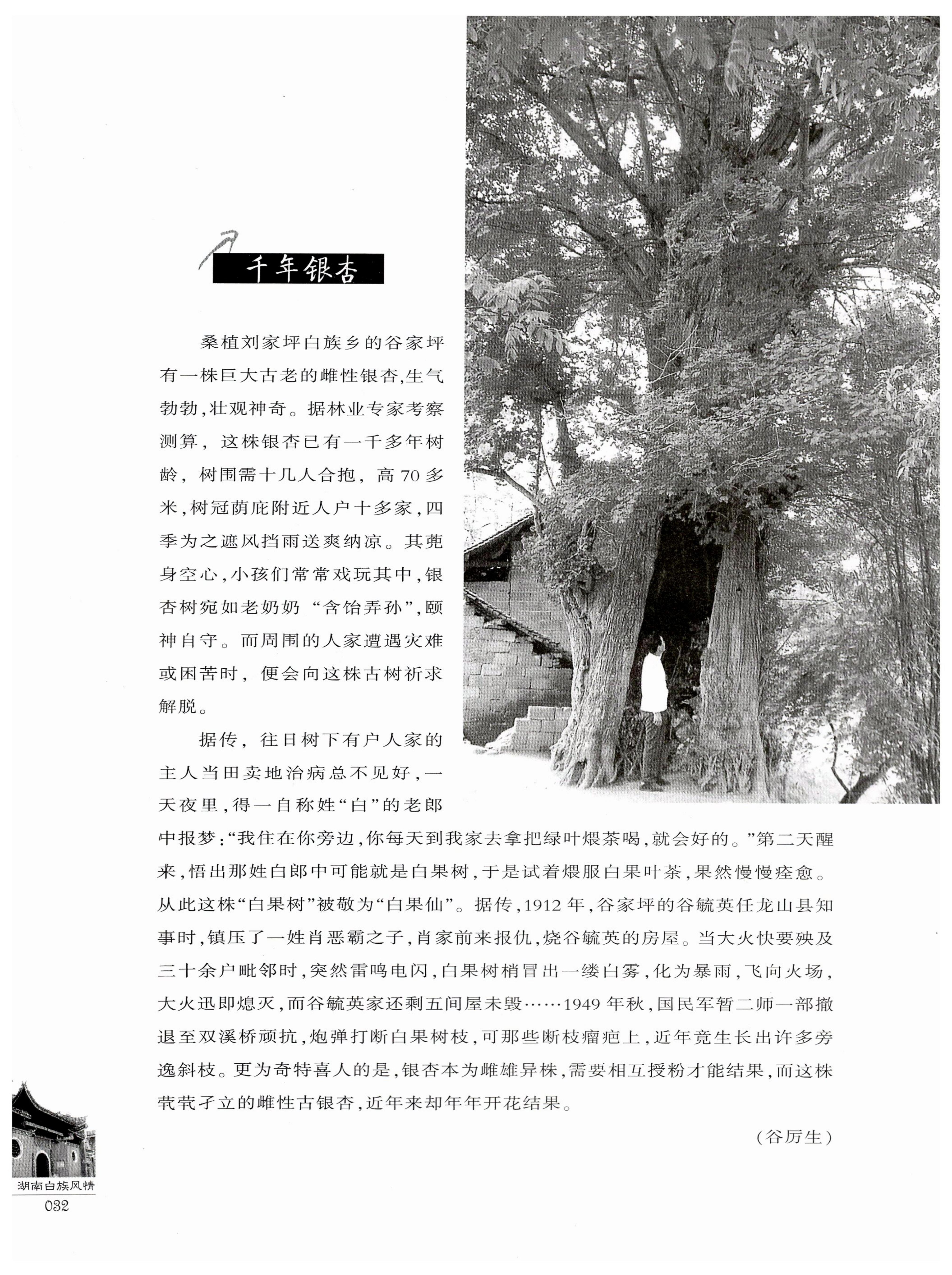 湖南白族风情_34.jpg