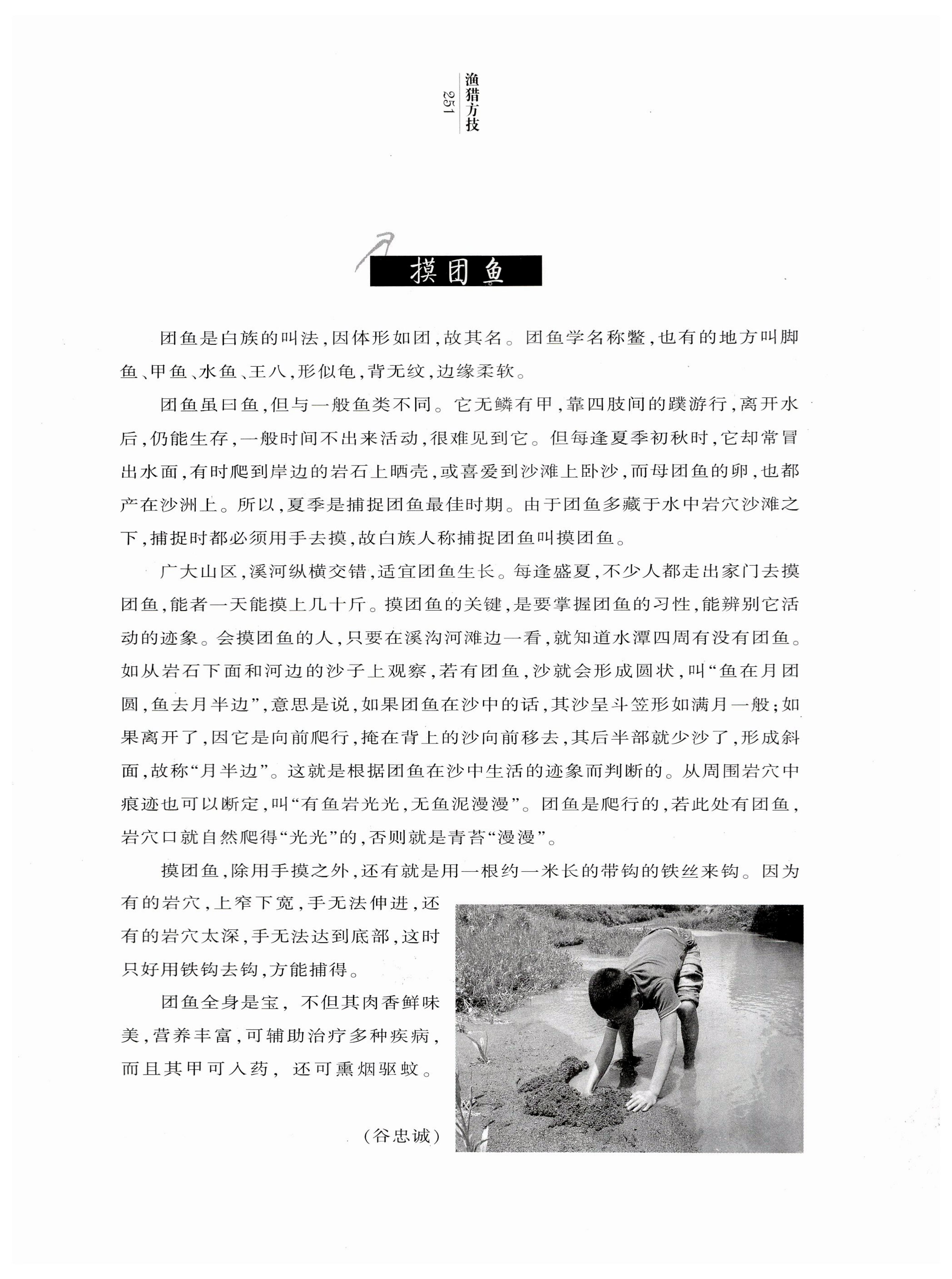 湖南白族风情_253.jpg