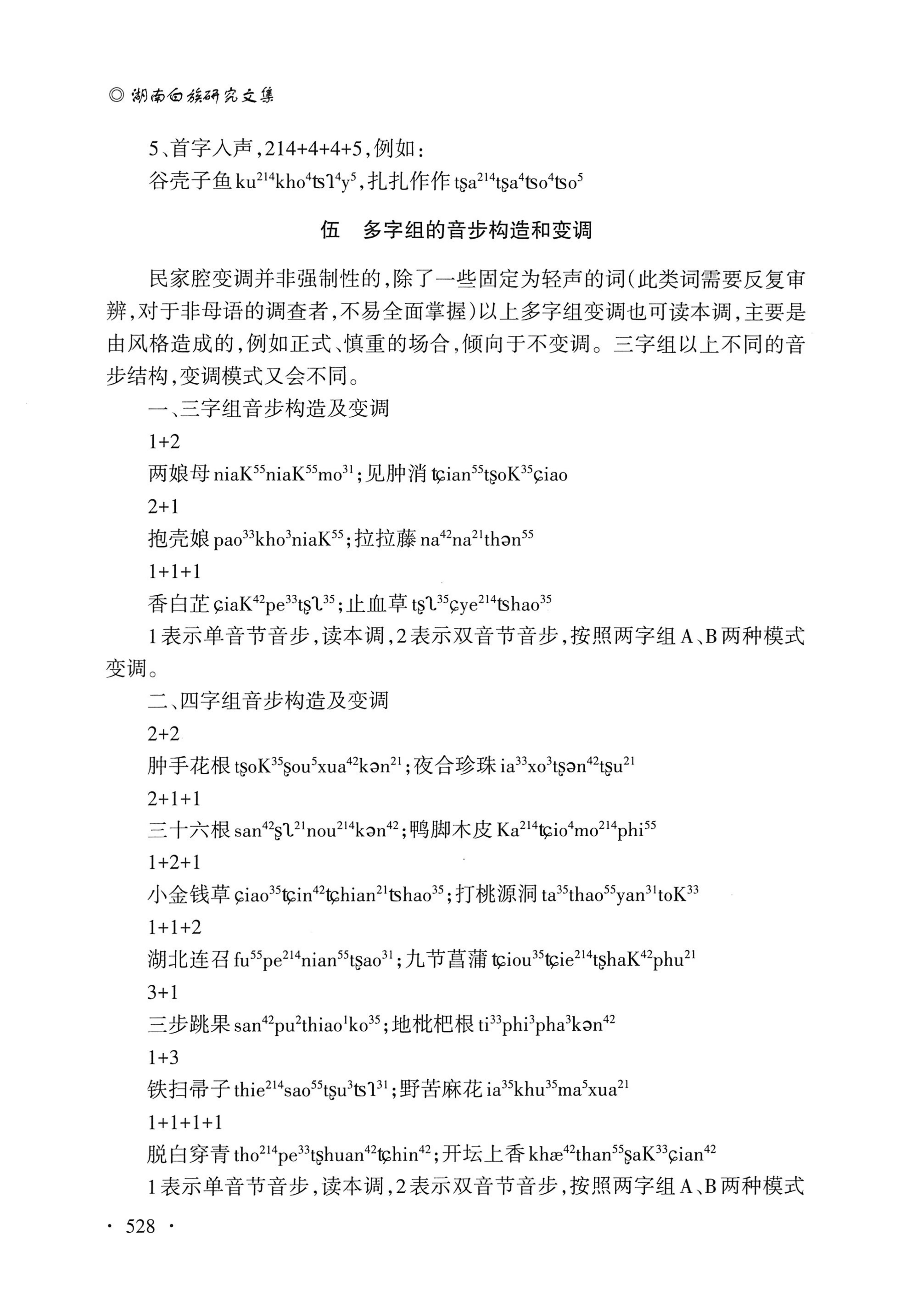 湖南白族研究文集2009-2019_540.jpg