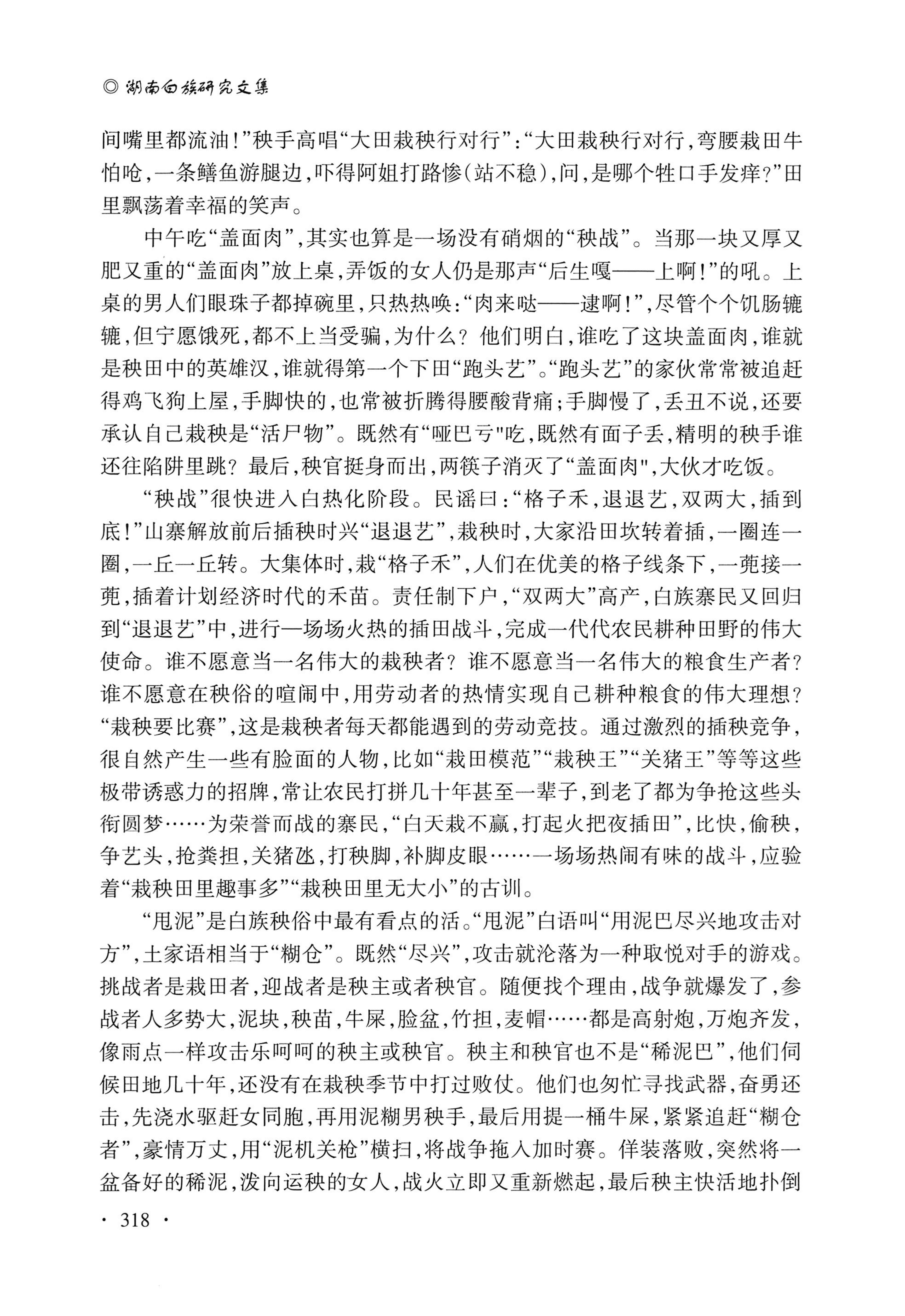 湖南白族研究文集2009-2019_330.jpg