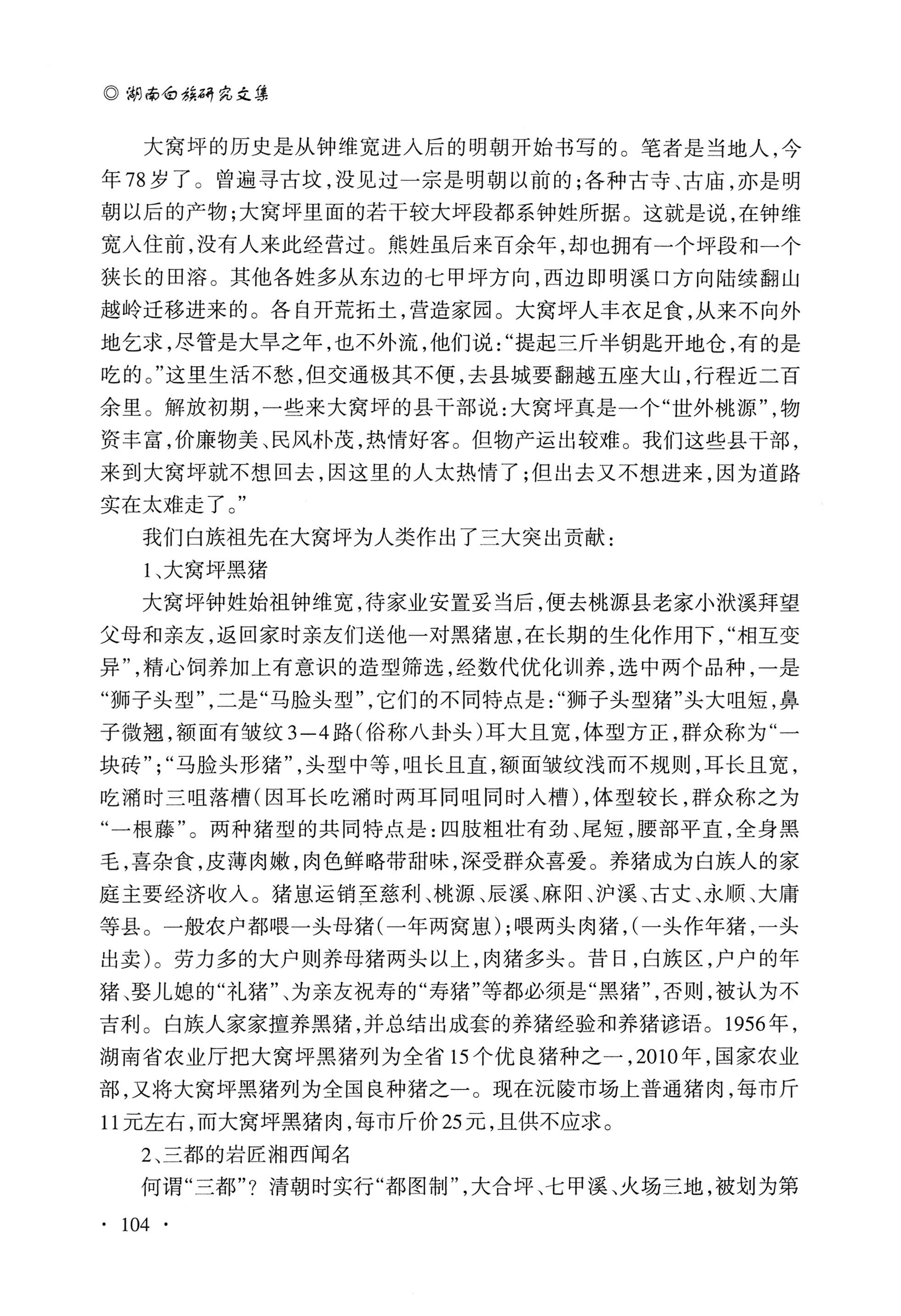 湖南白族研究文集2009-2019_116.jpg