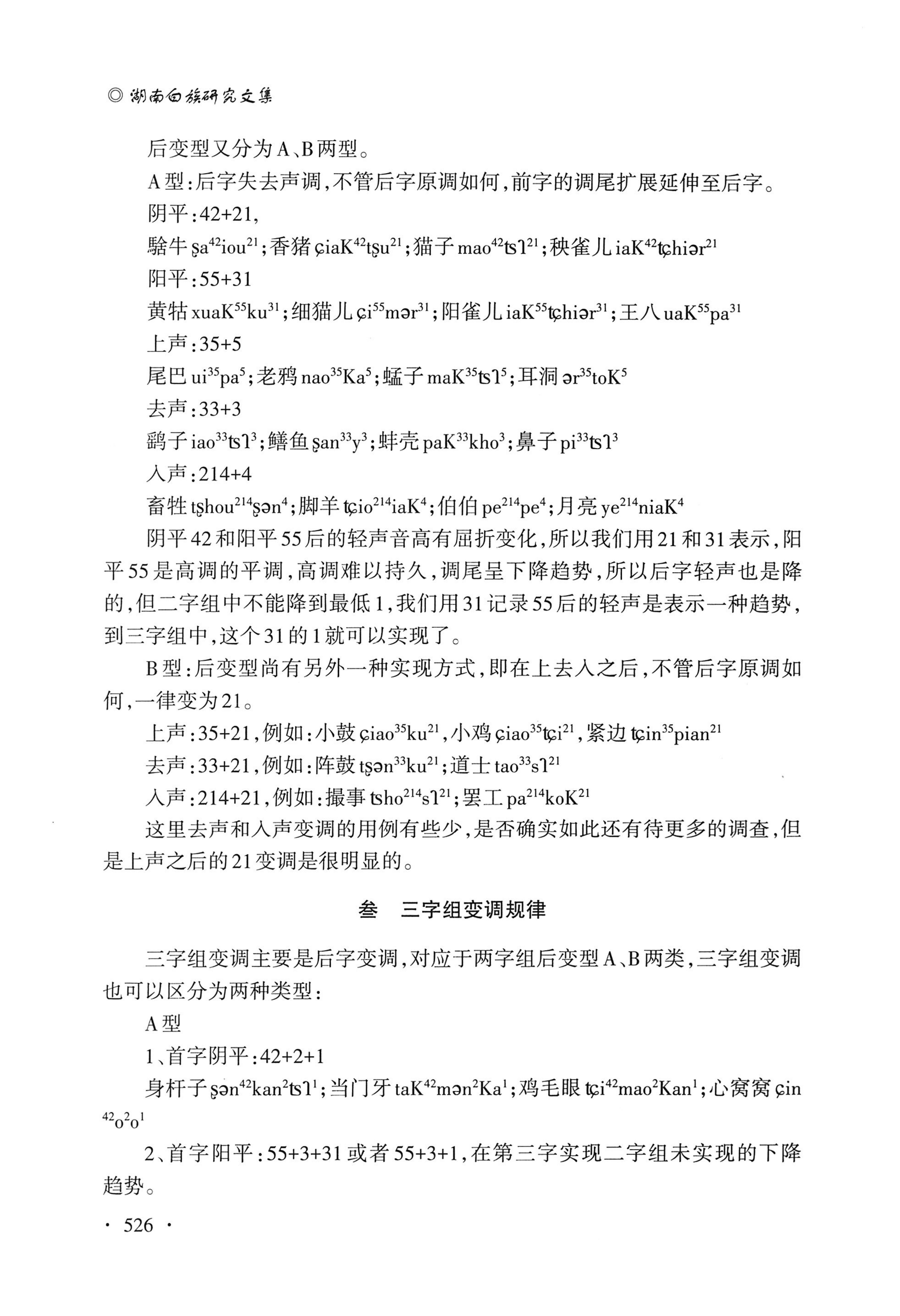 湖南白族研究文集2009-2019_538.jpg