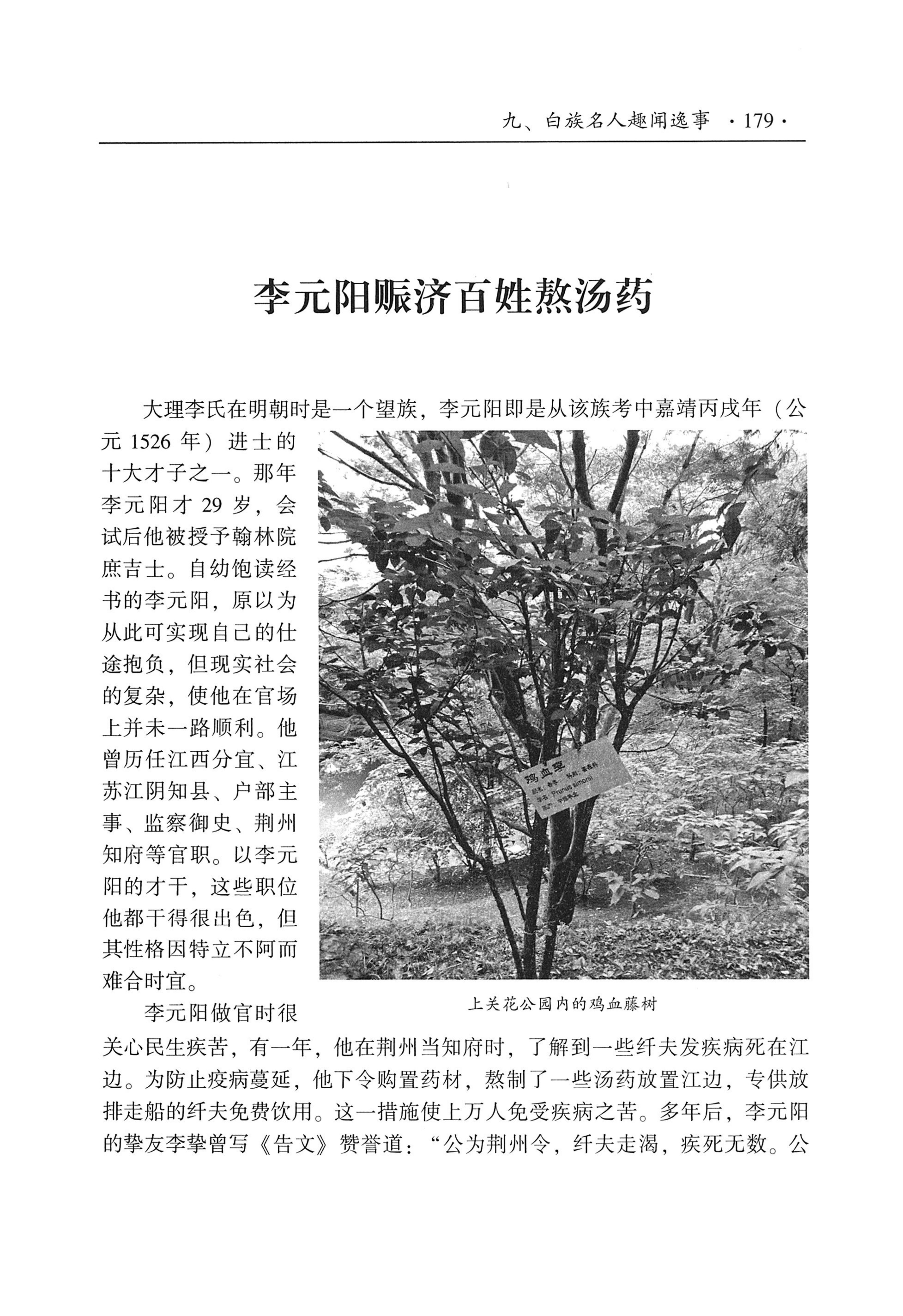 我的大理寻根之旅_196.jpg