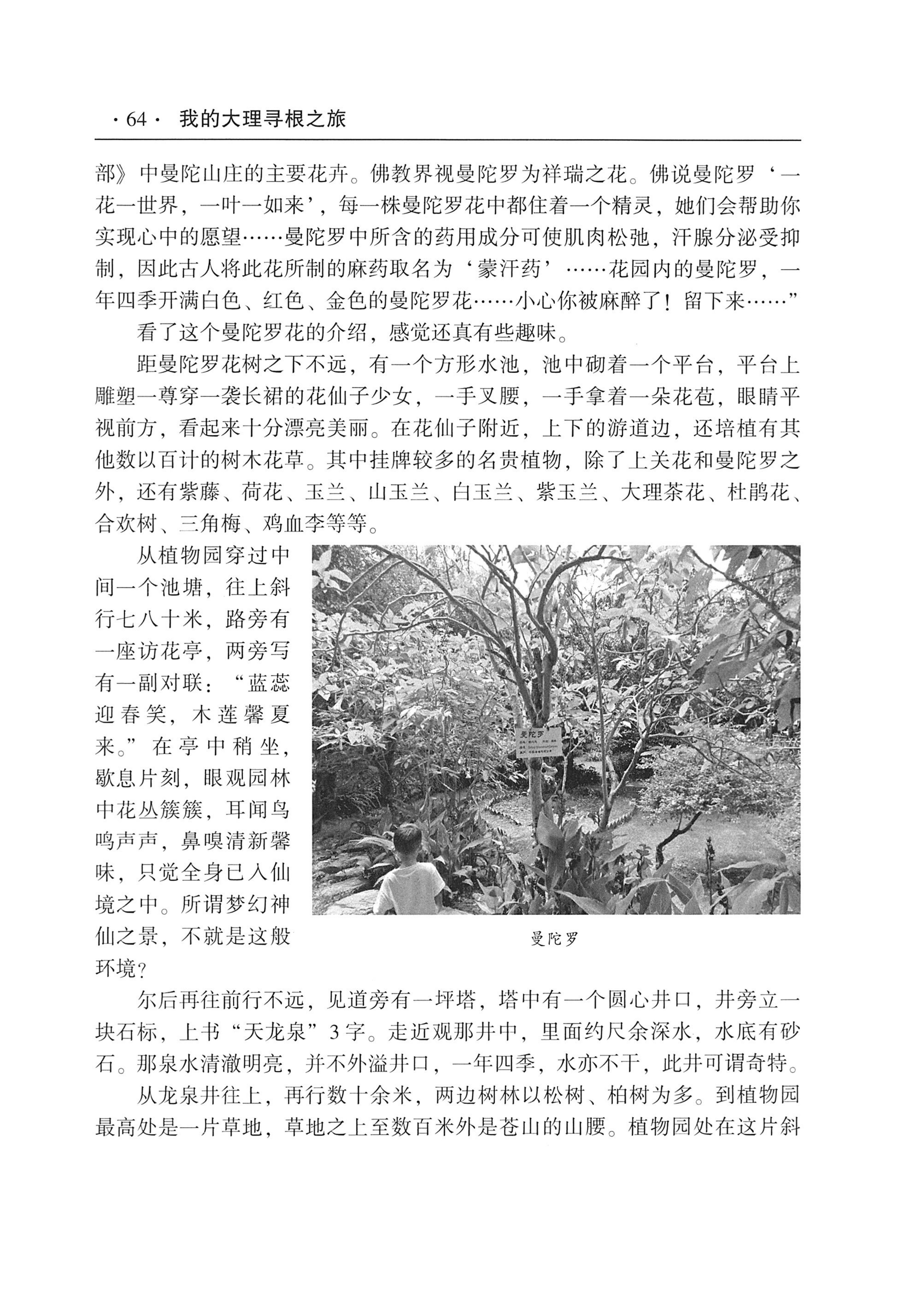 我的大理寻根之旅_81.jpg