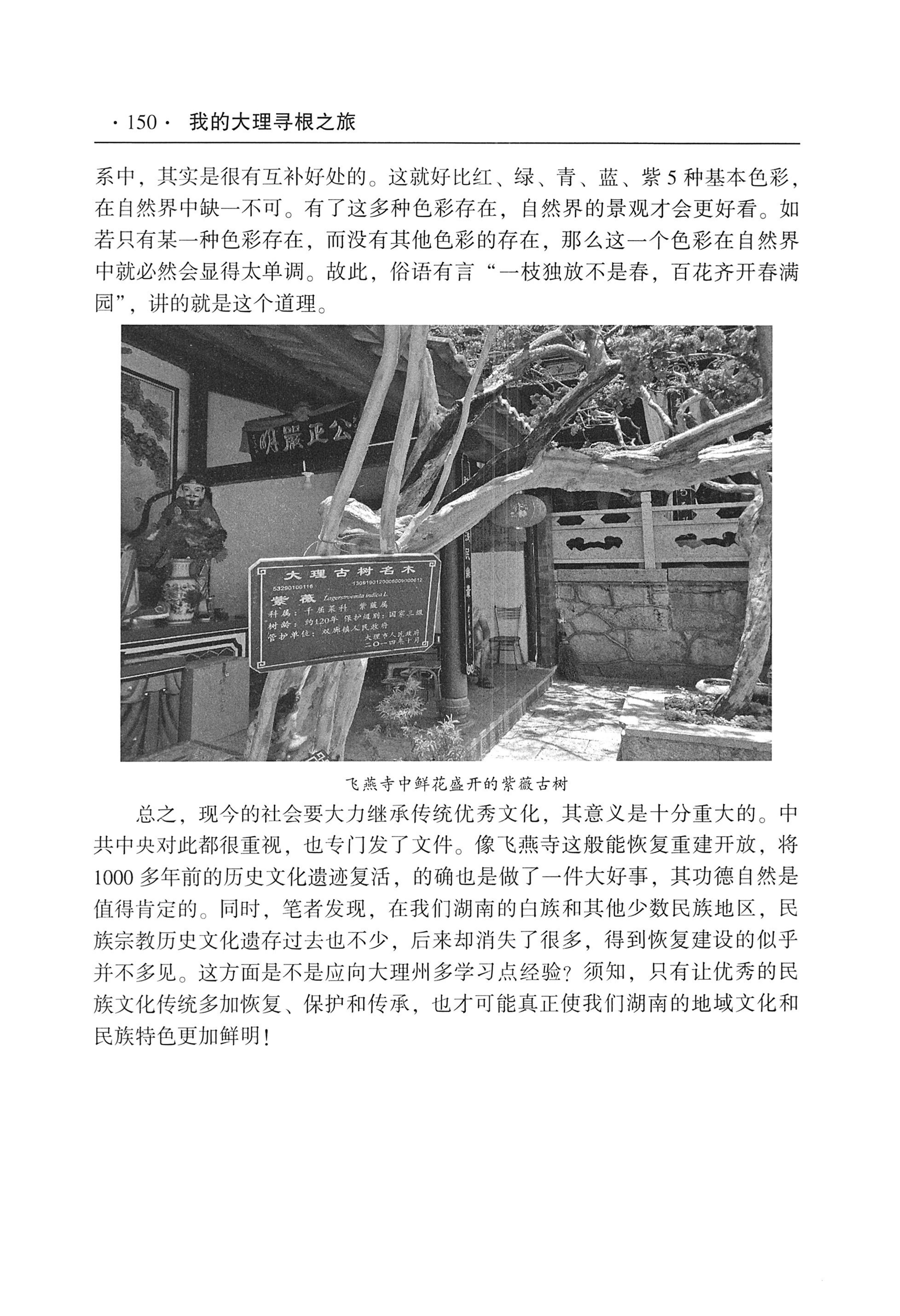我的大理寻根之旅_167.jpg