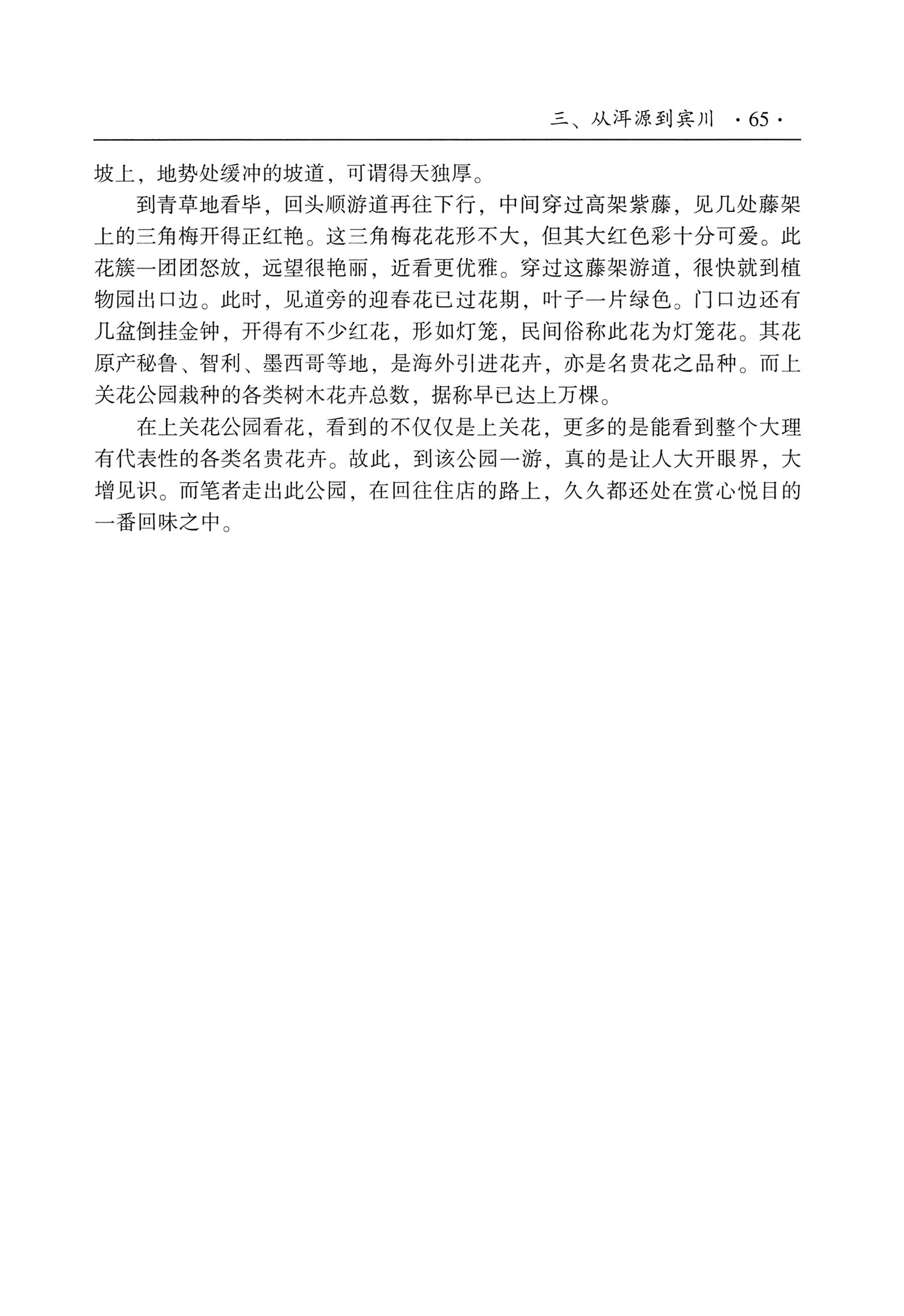 我的大理寻根之旅_82.jpg