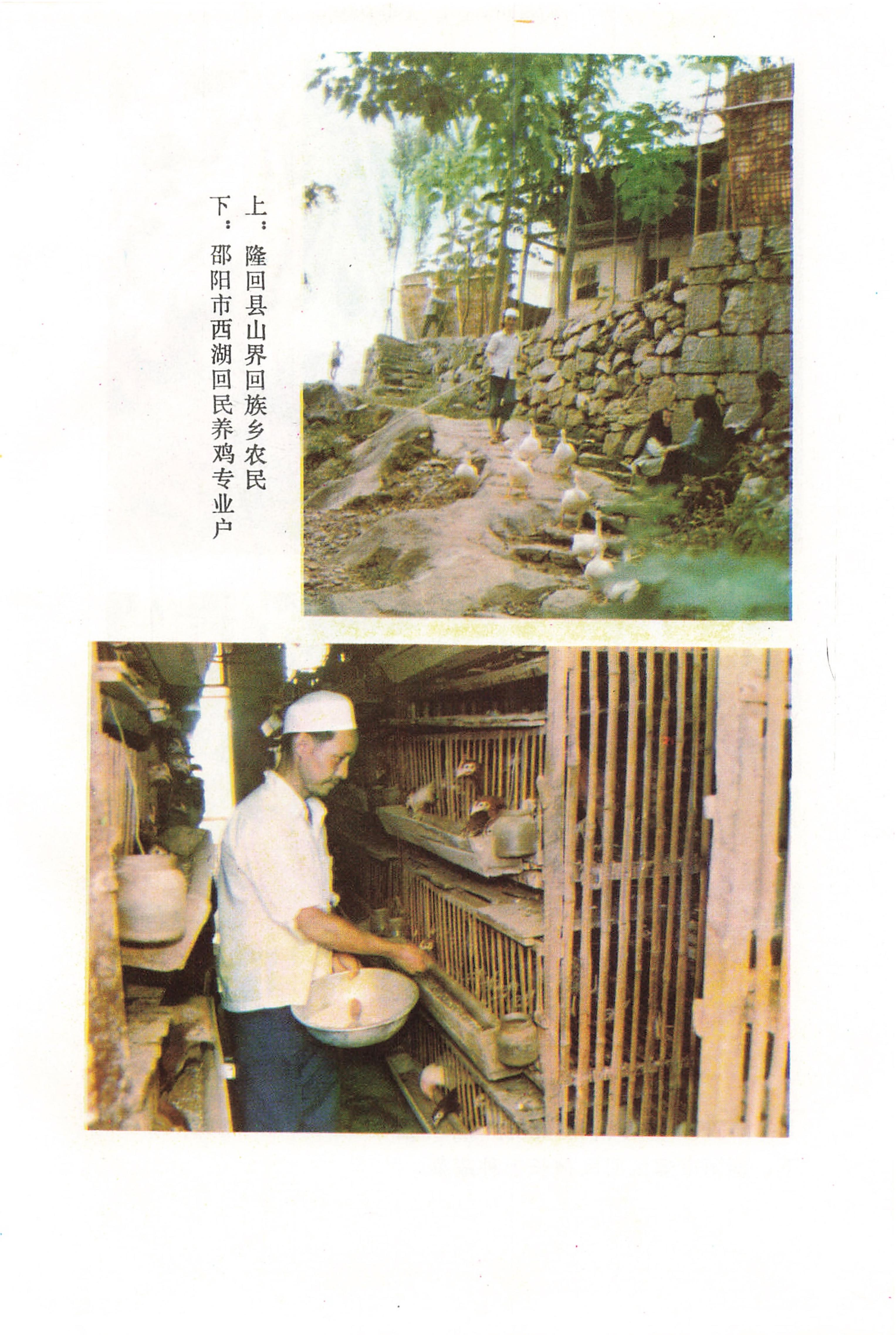 湖南回族_13.jpg
