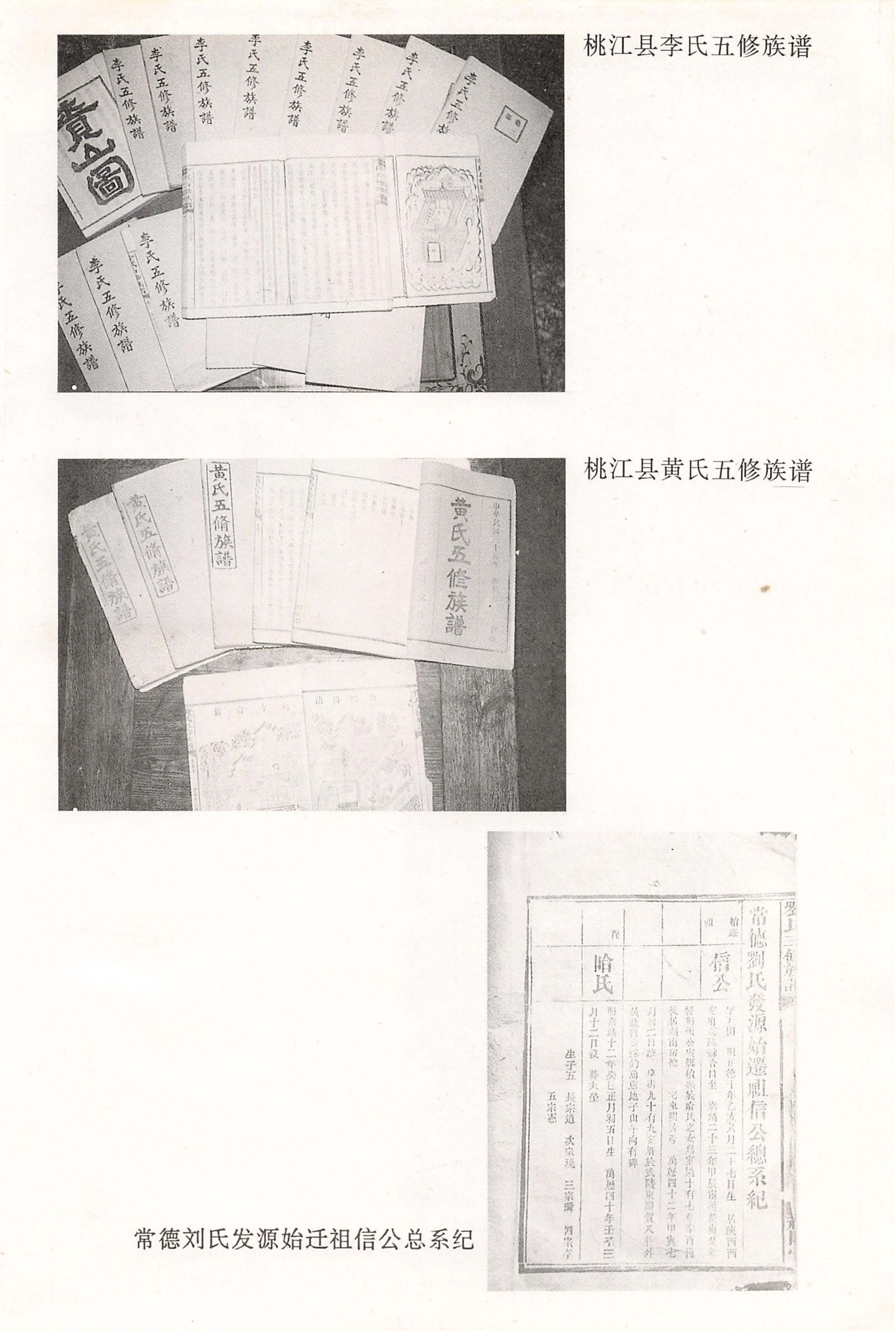 湖南回族史料辑要_05.jpg