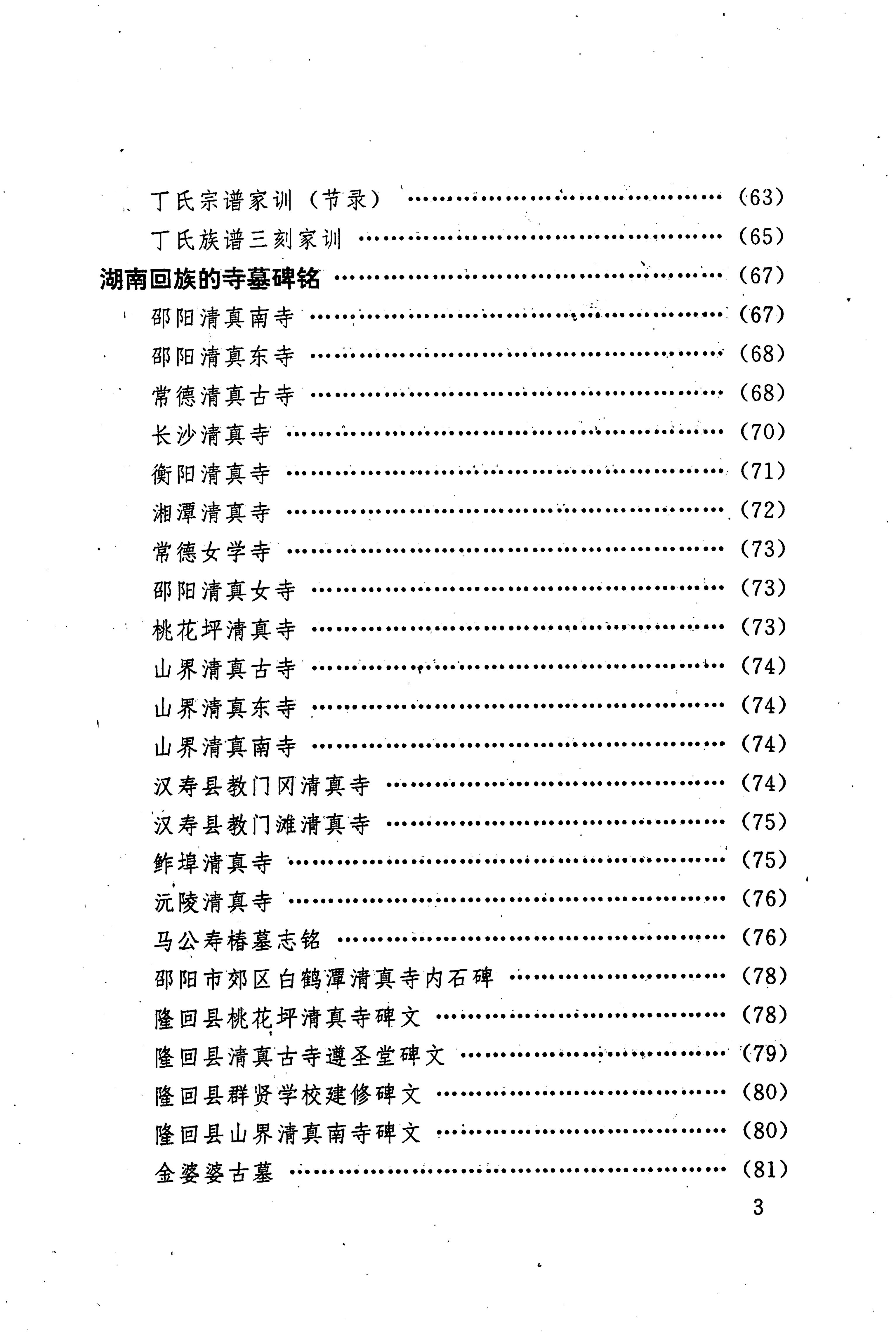 湖南回族史料辑要_15.jpg