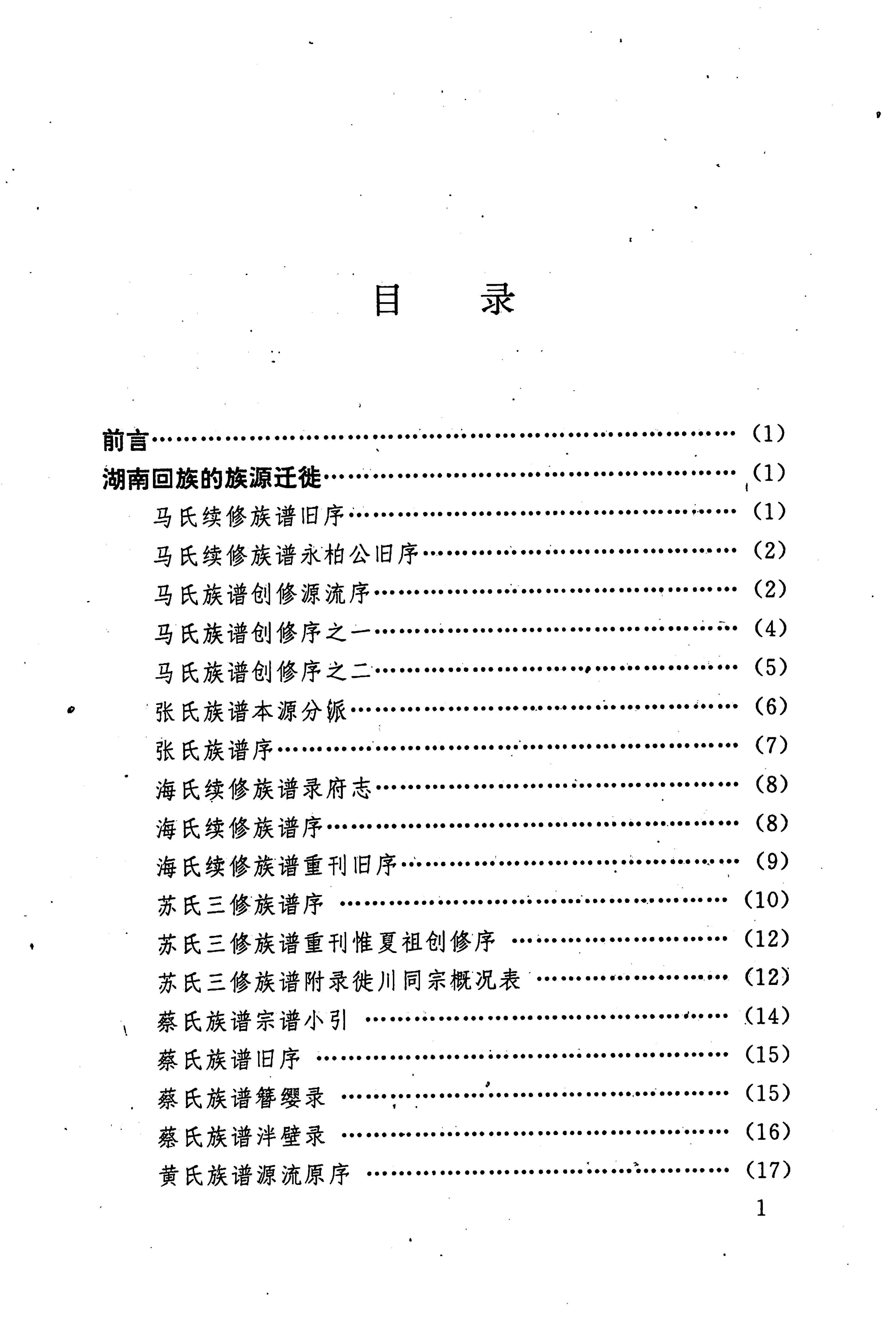湖南回族史料辑要_13.jpg