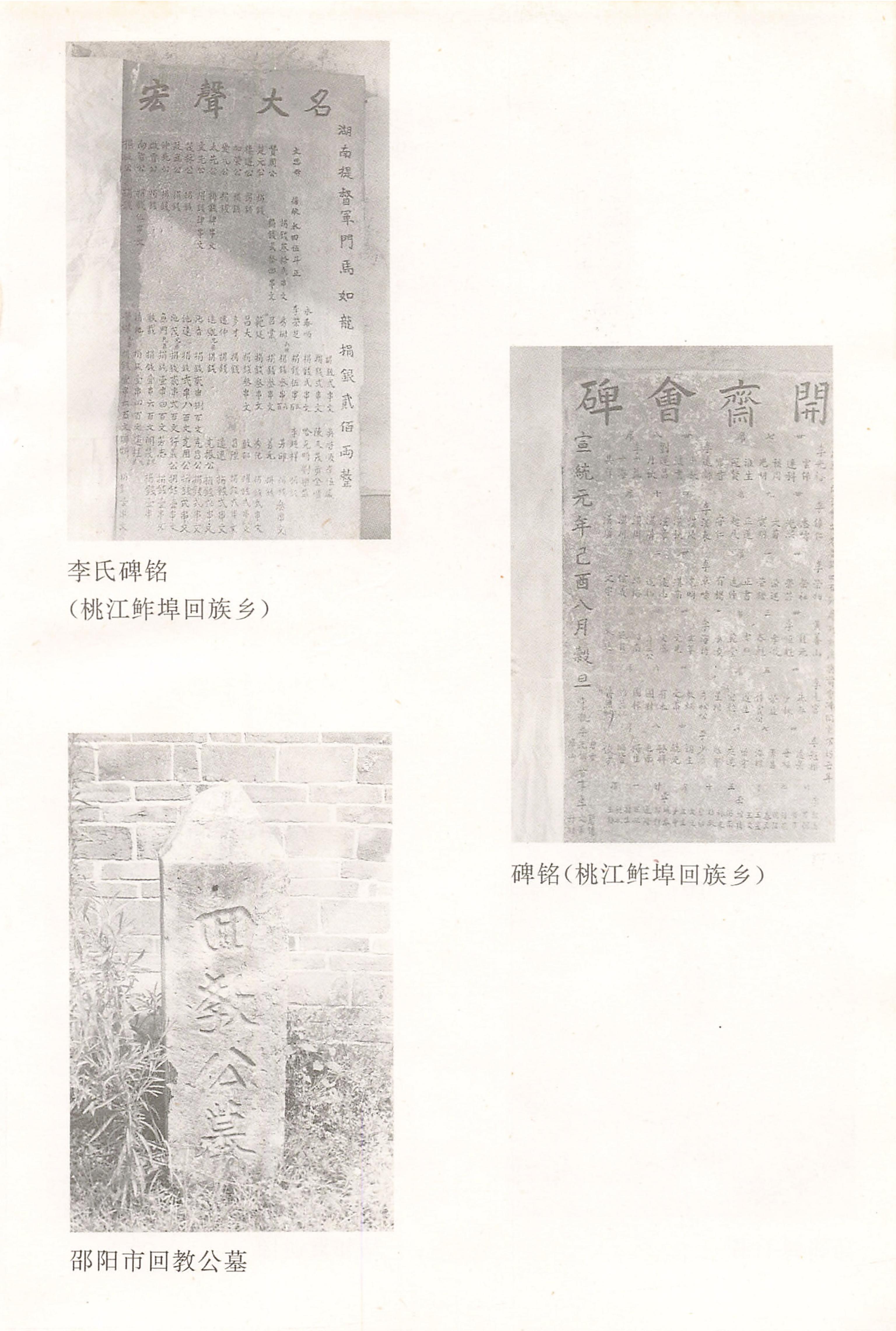 湖南回族史料辑要_07.jpg
