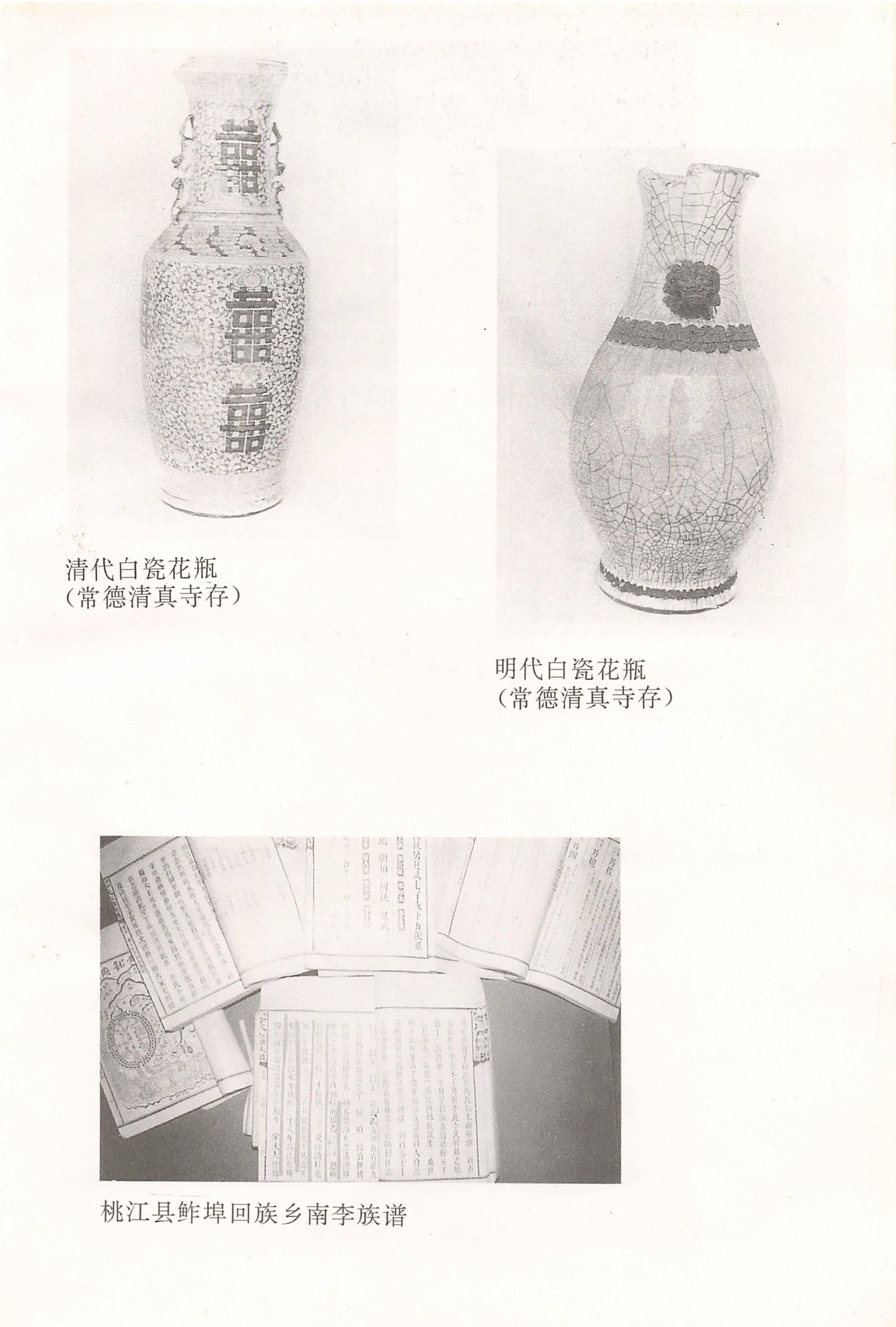 湖南回族史料辑要_09.jpg