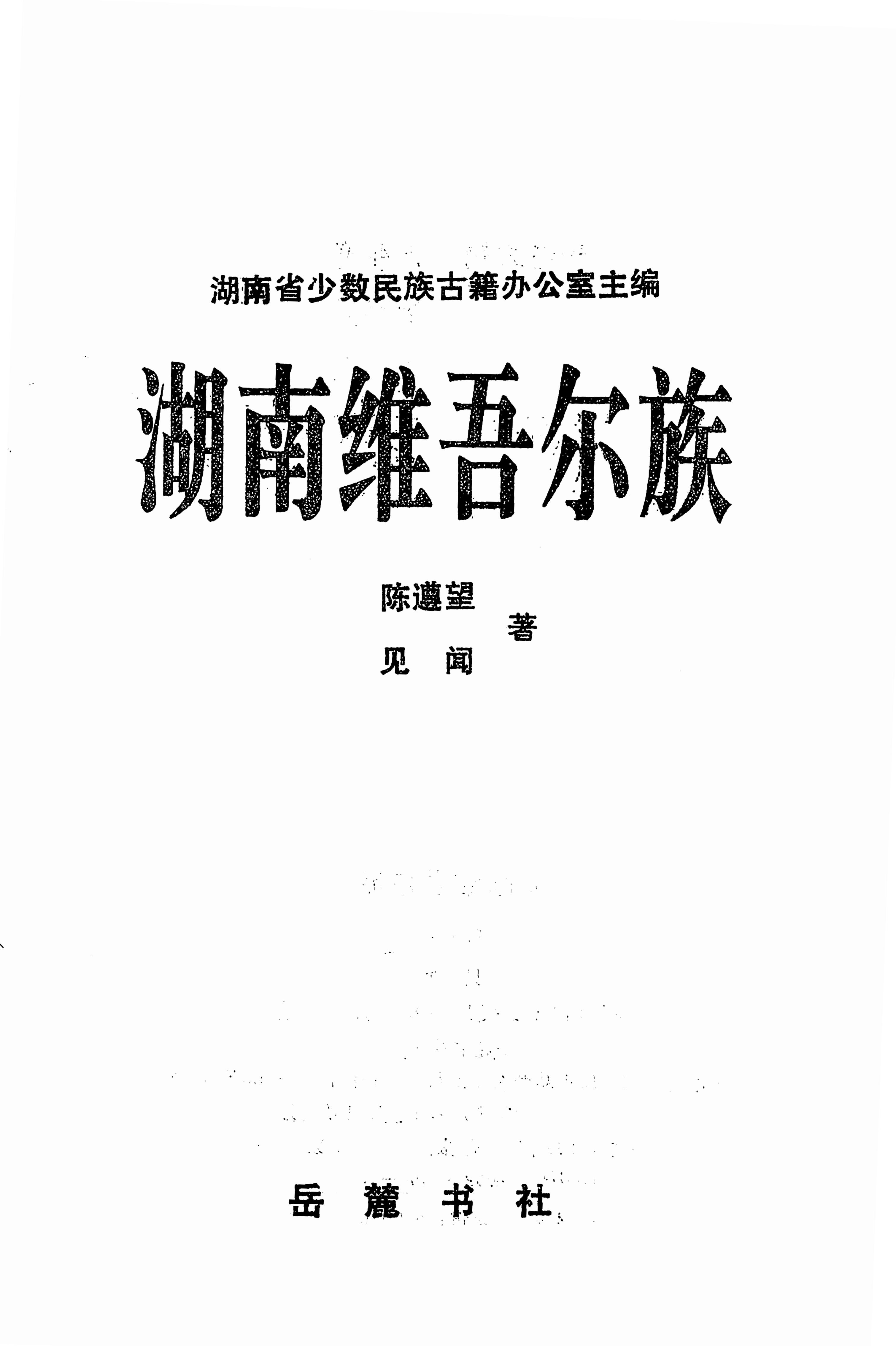 湖南维吾尔族_01.jpg