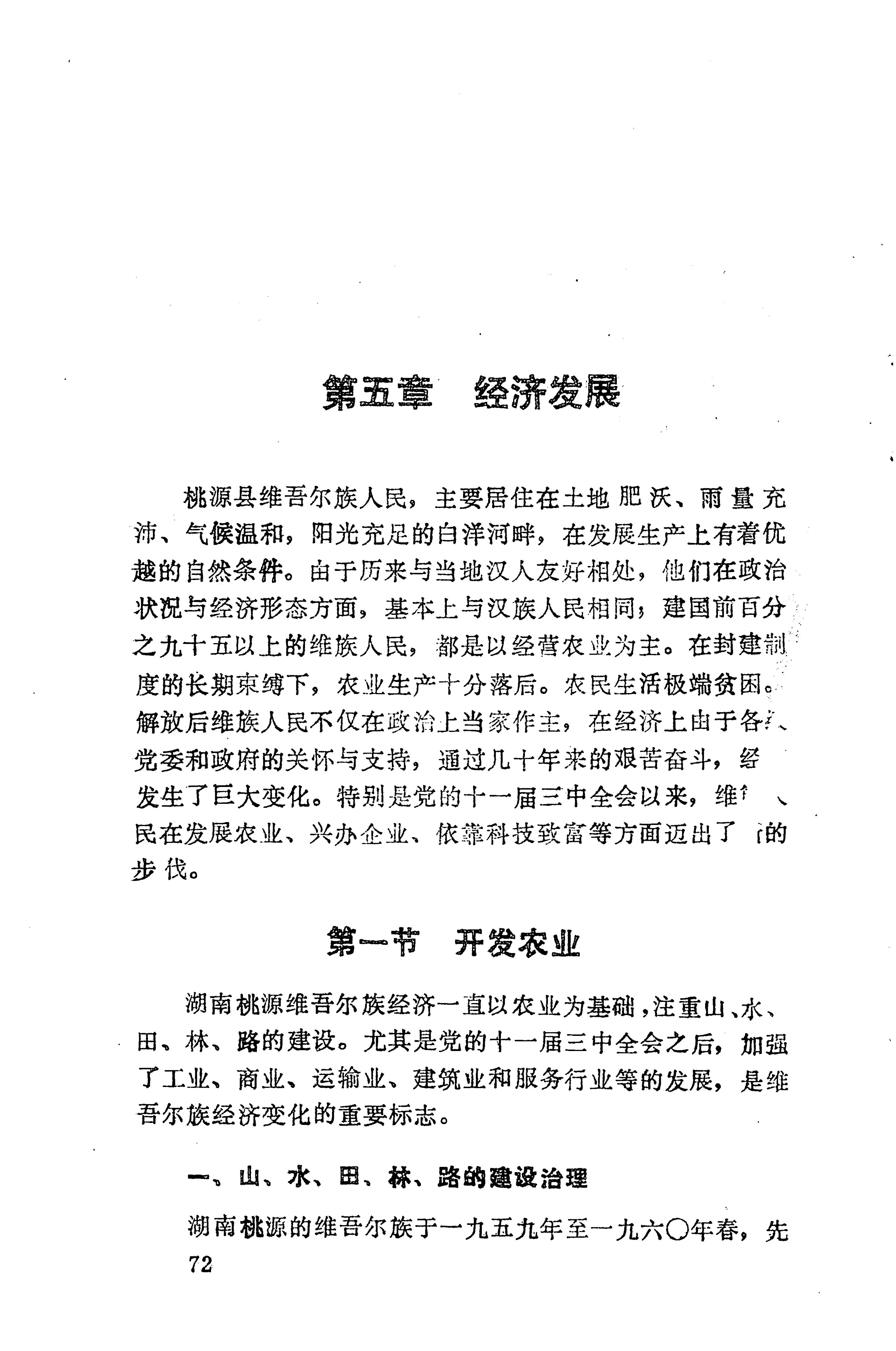 湖南维吾尔族_94.jpg