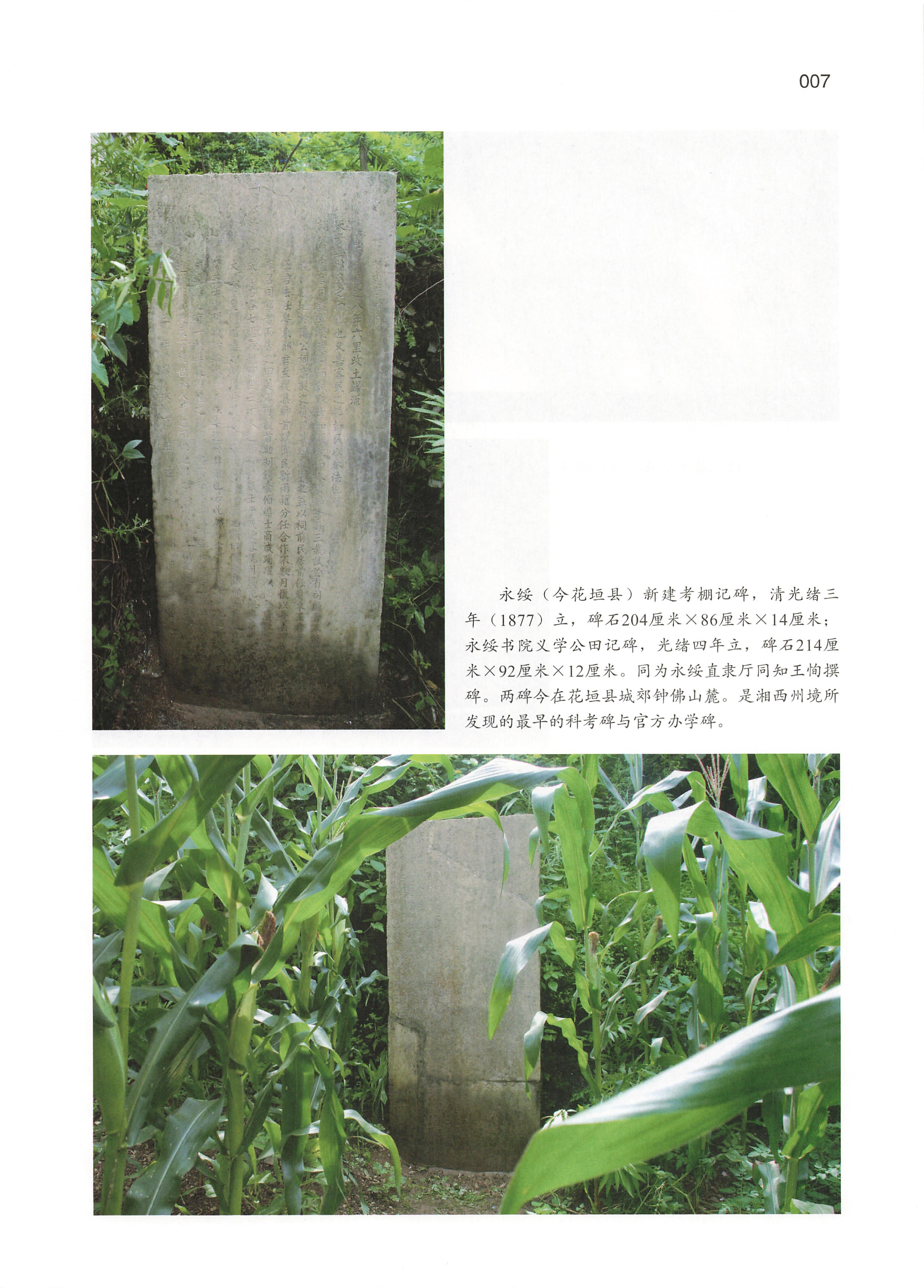 湘西土家族苗族自治州金石通纂_09.jpg