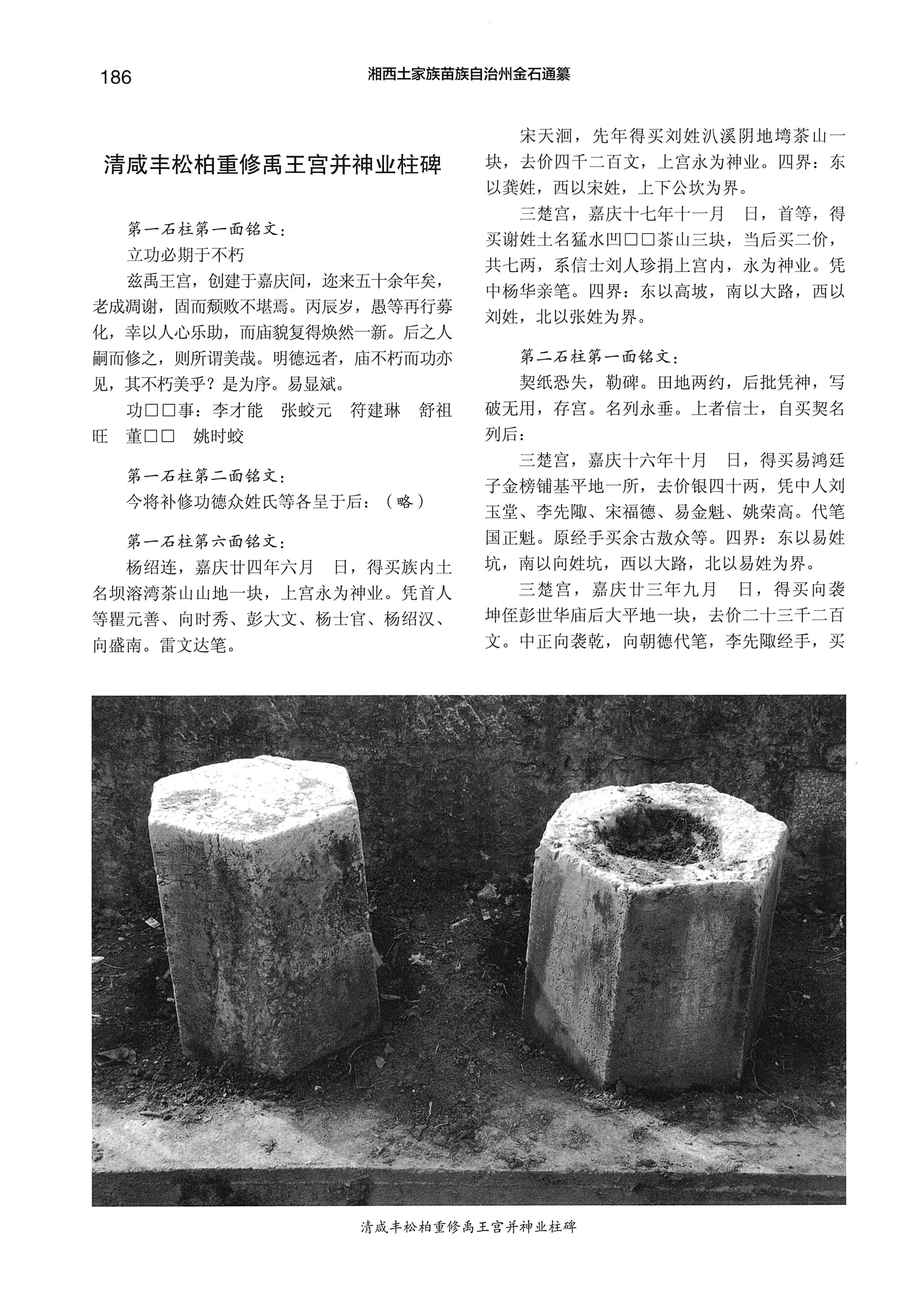 湘西土家族苗族自治州金石通纂_234.jpg