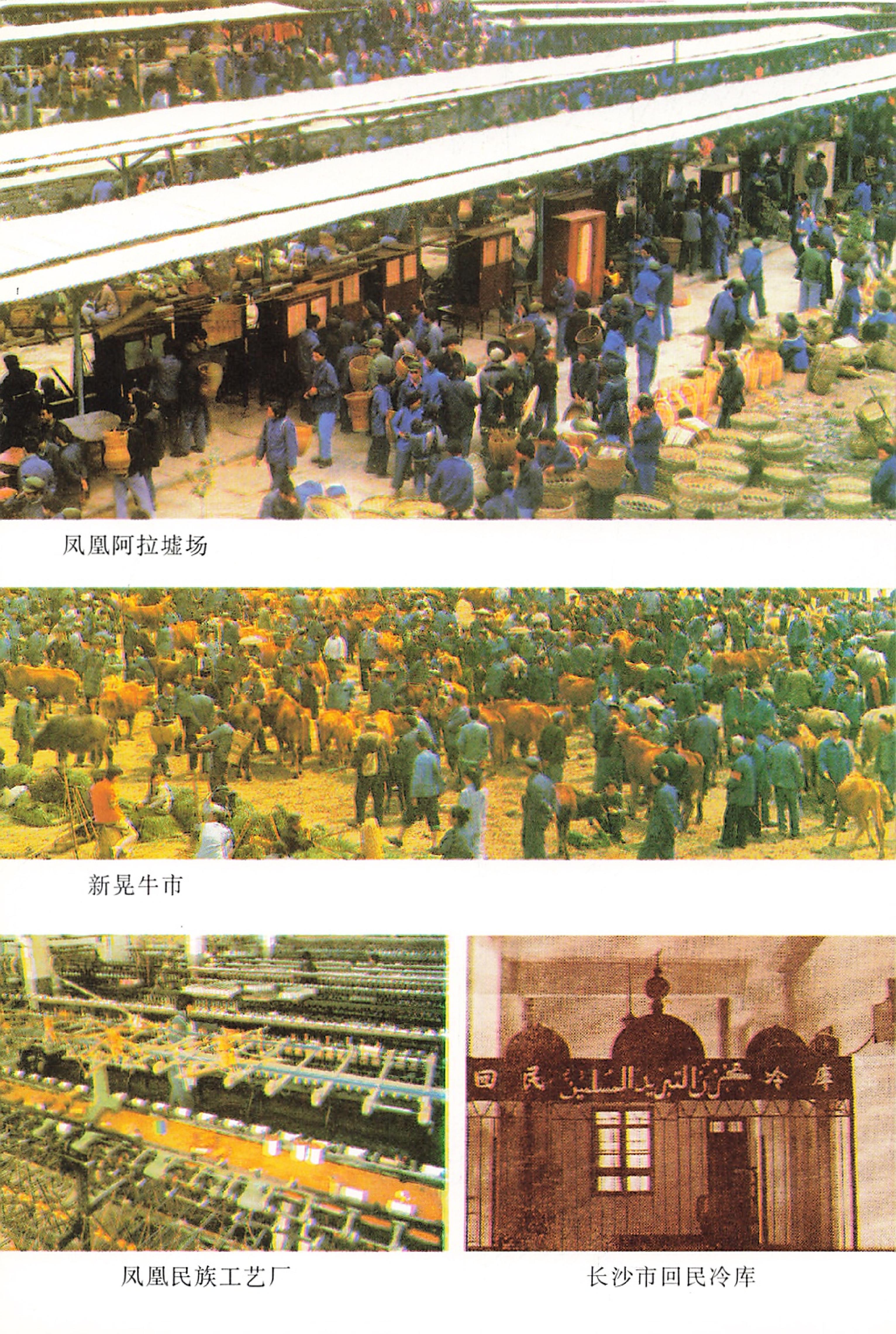 湖南省志第二十四卷民族志_24.jpg