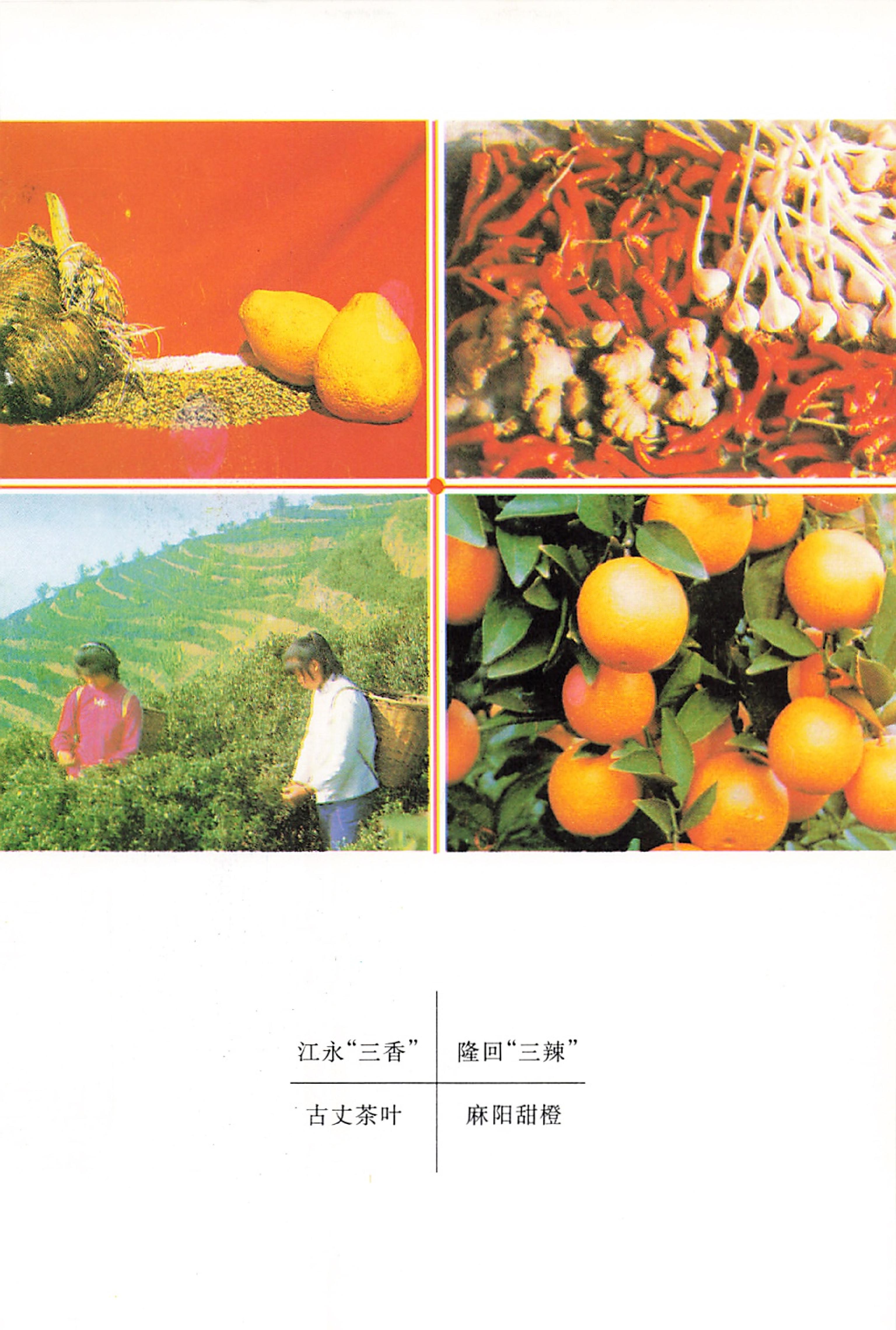 湖南省志第二十四卷民族志_17.jpg
