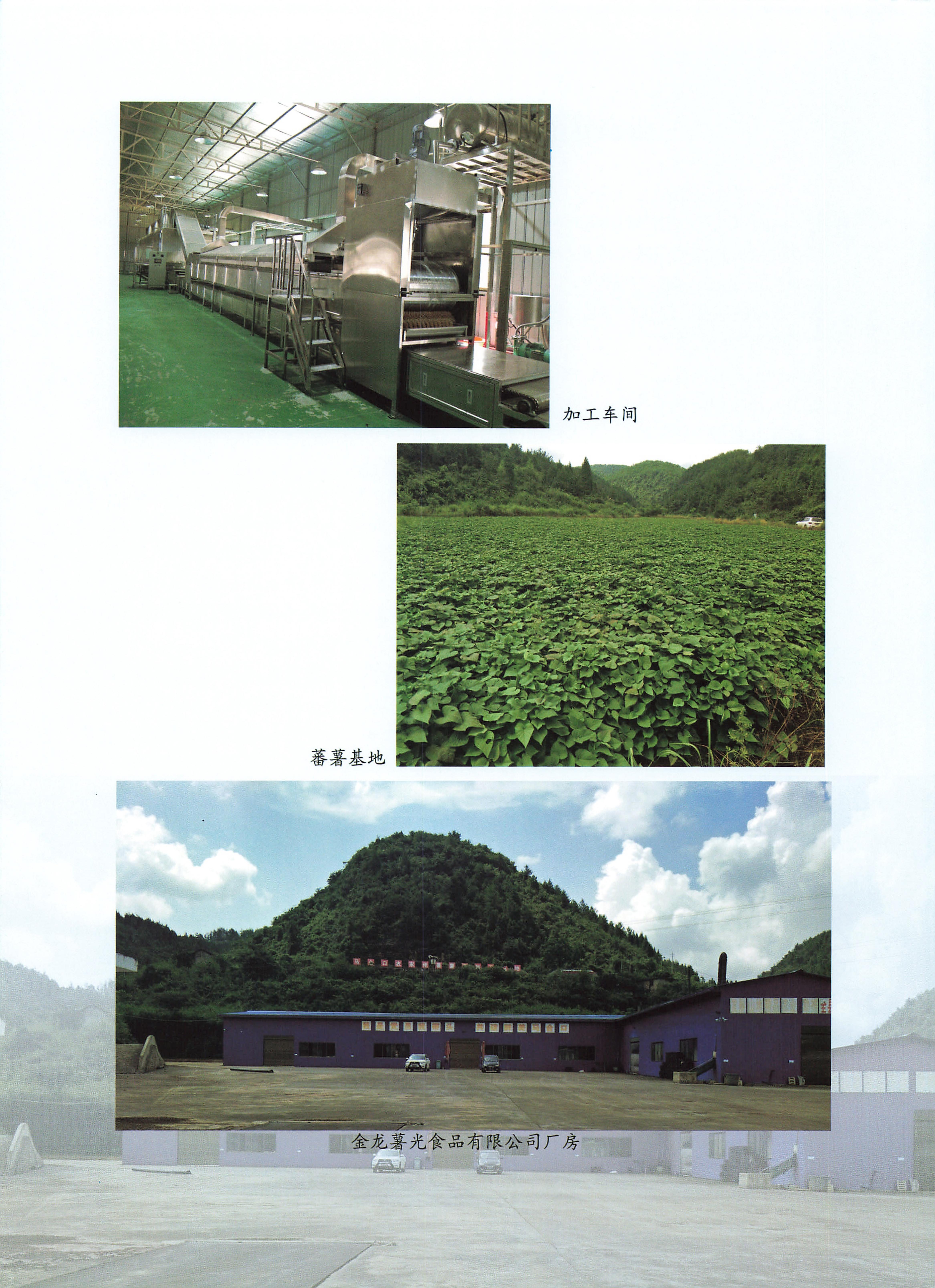 桑植地名文化荟萃下册_464.jpg