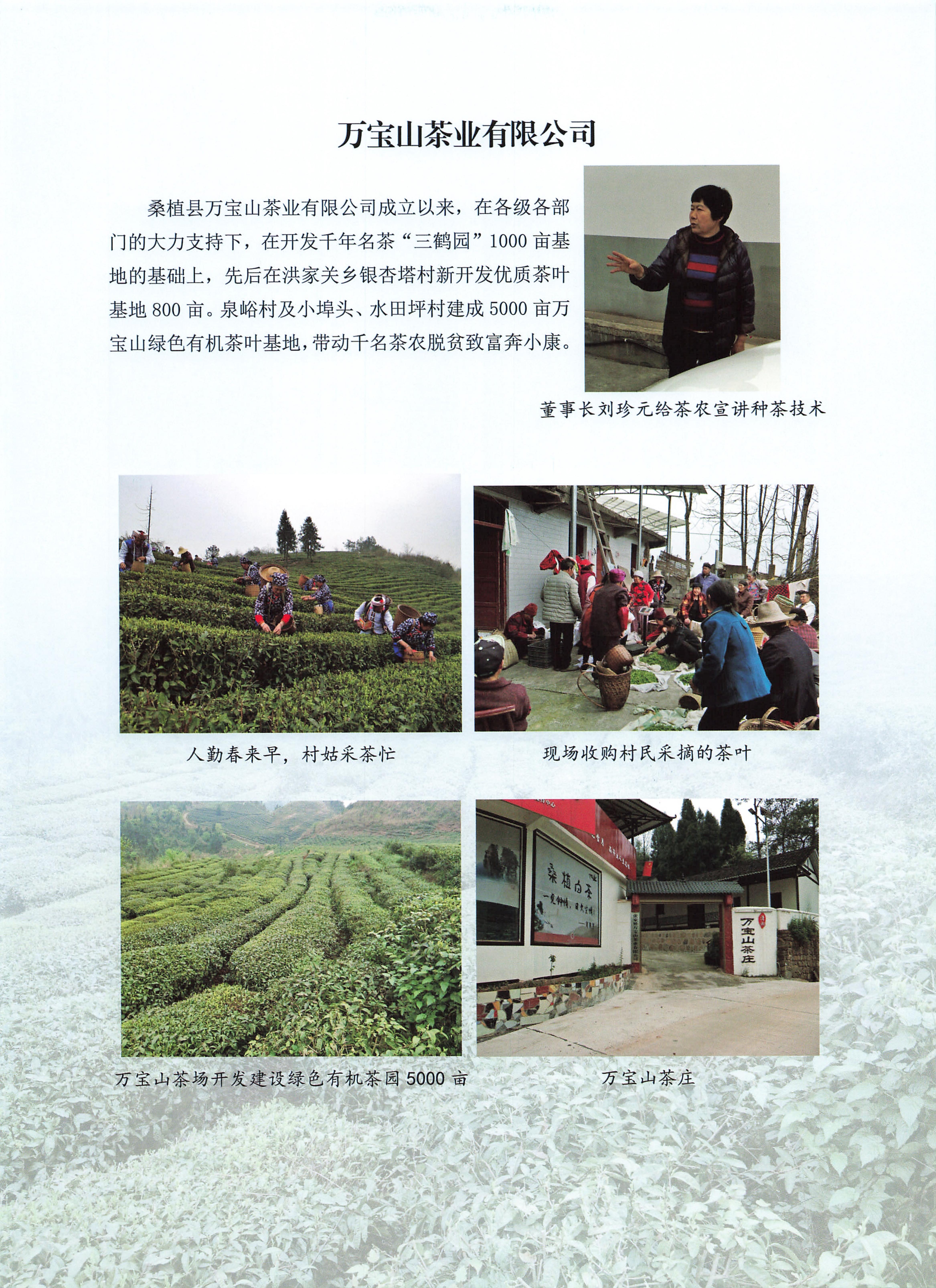 桑植地名文化荟萃下册_465.jpg