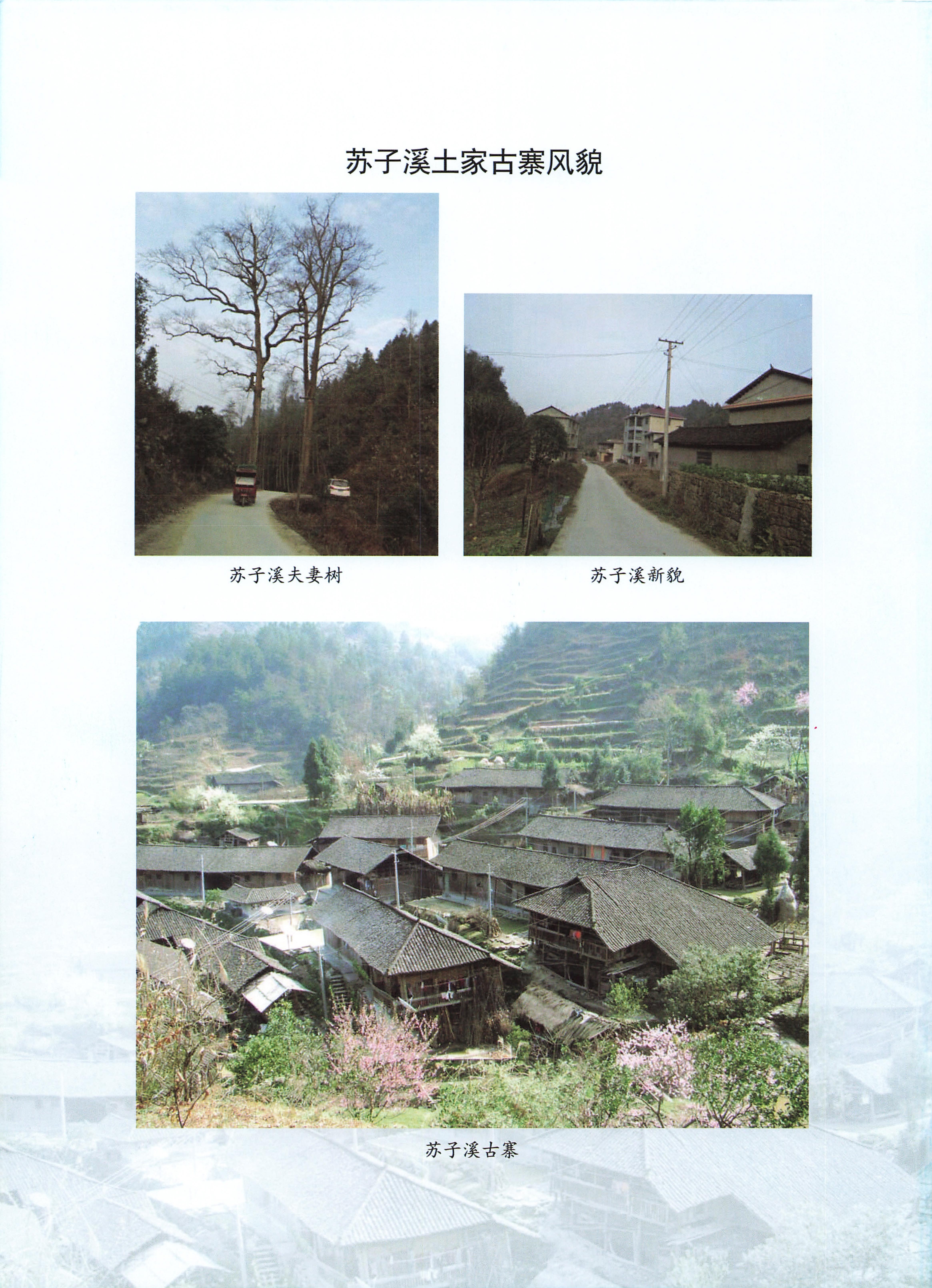 桑植地名文化荟萃下册_468.jpg