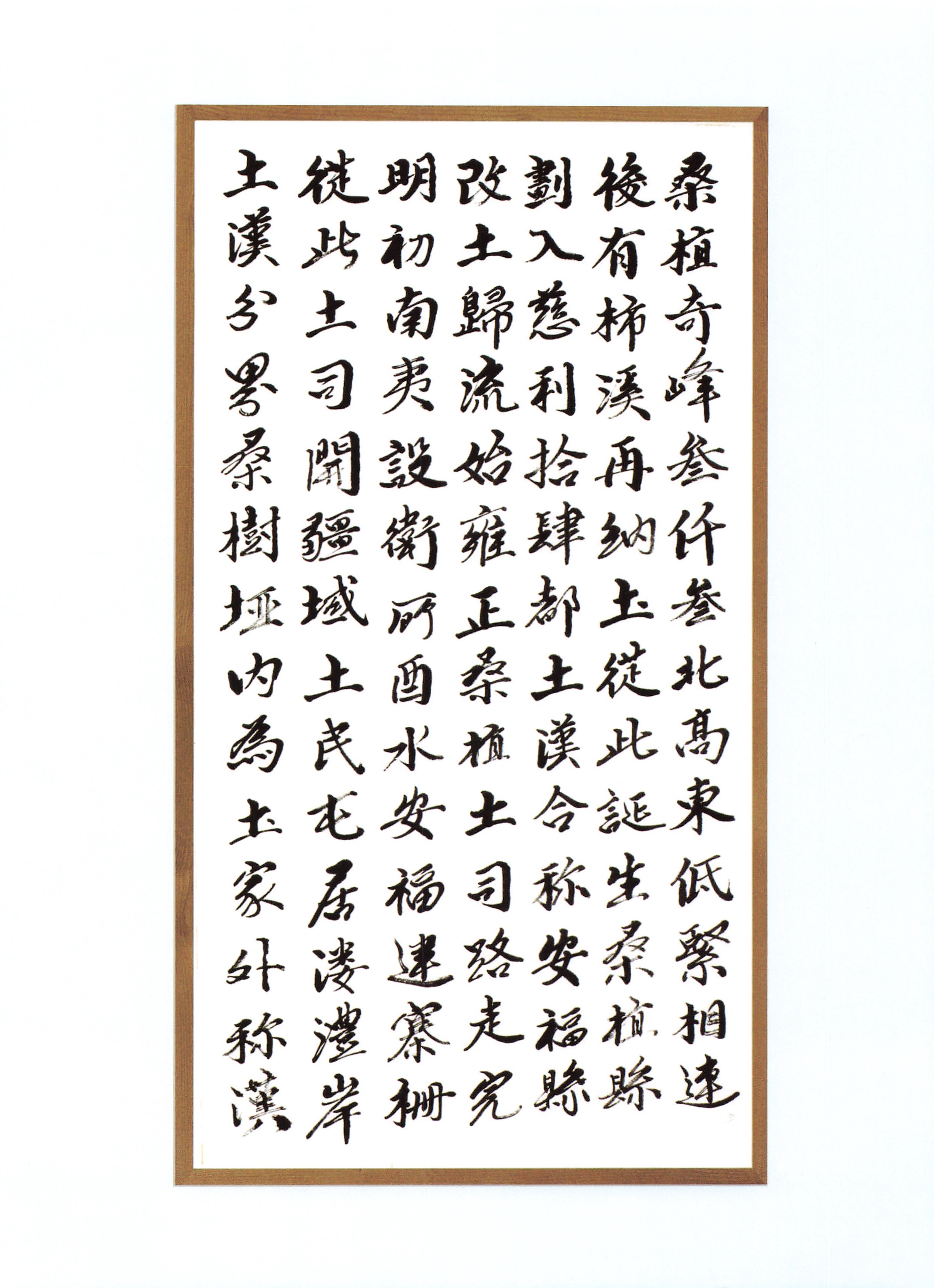 桑植地名文化荟萃下册_452.jpg