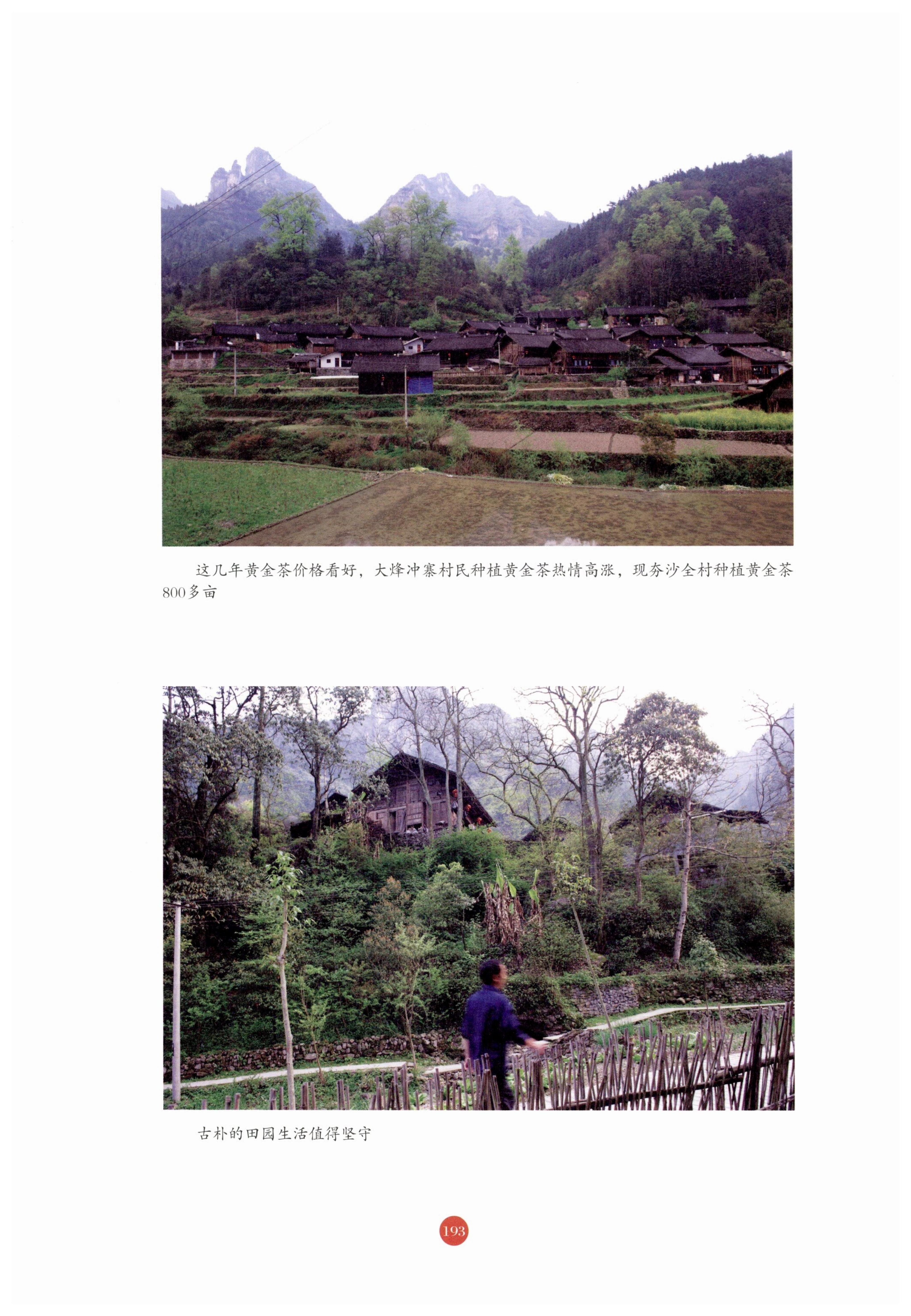 探访湘西传统村落_204.jpg