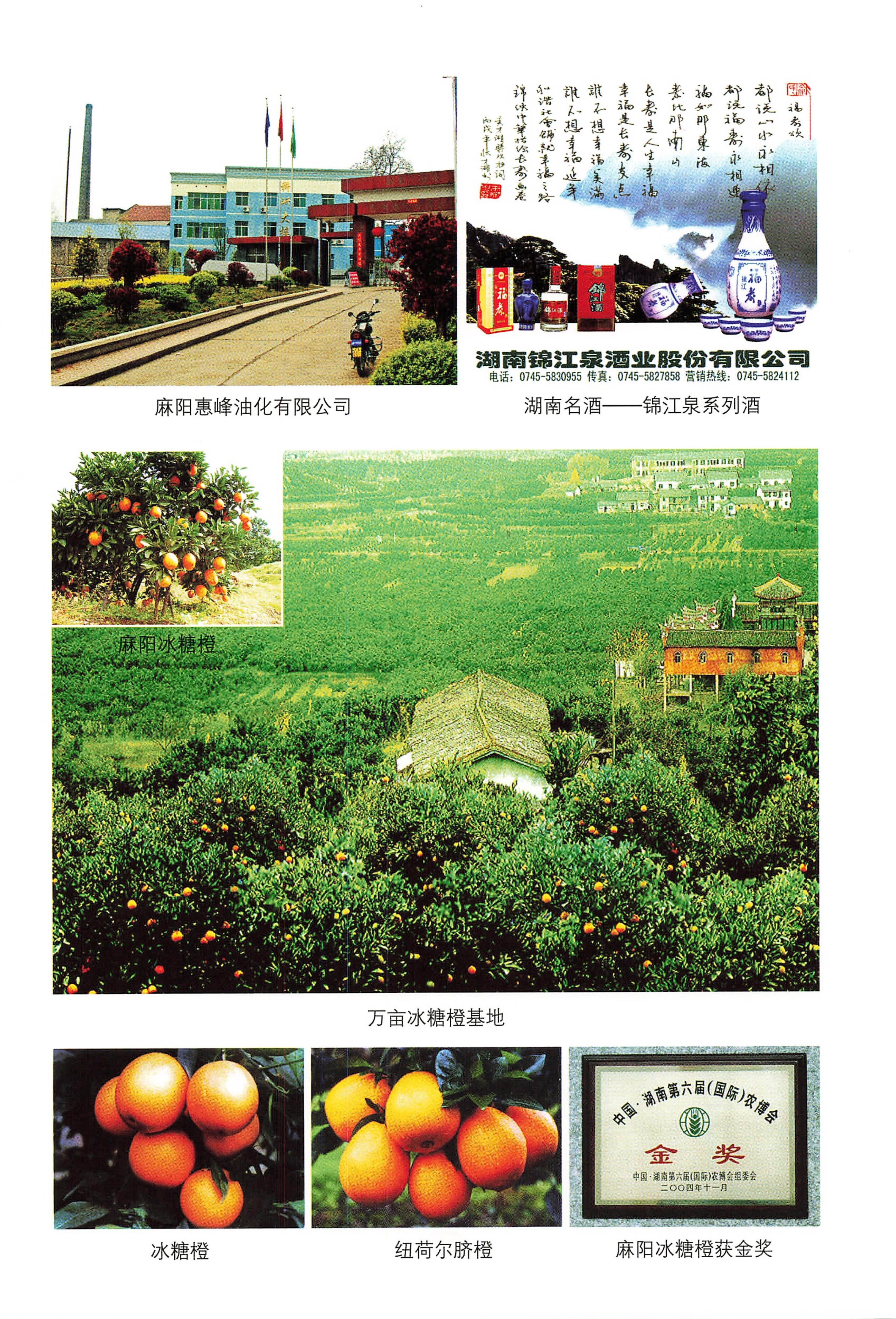 湖南麻阳苗族自治县概况_14.jpg