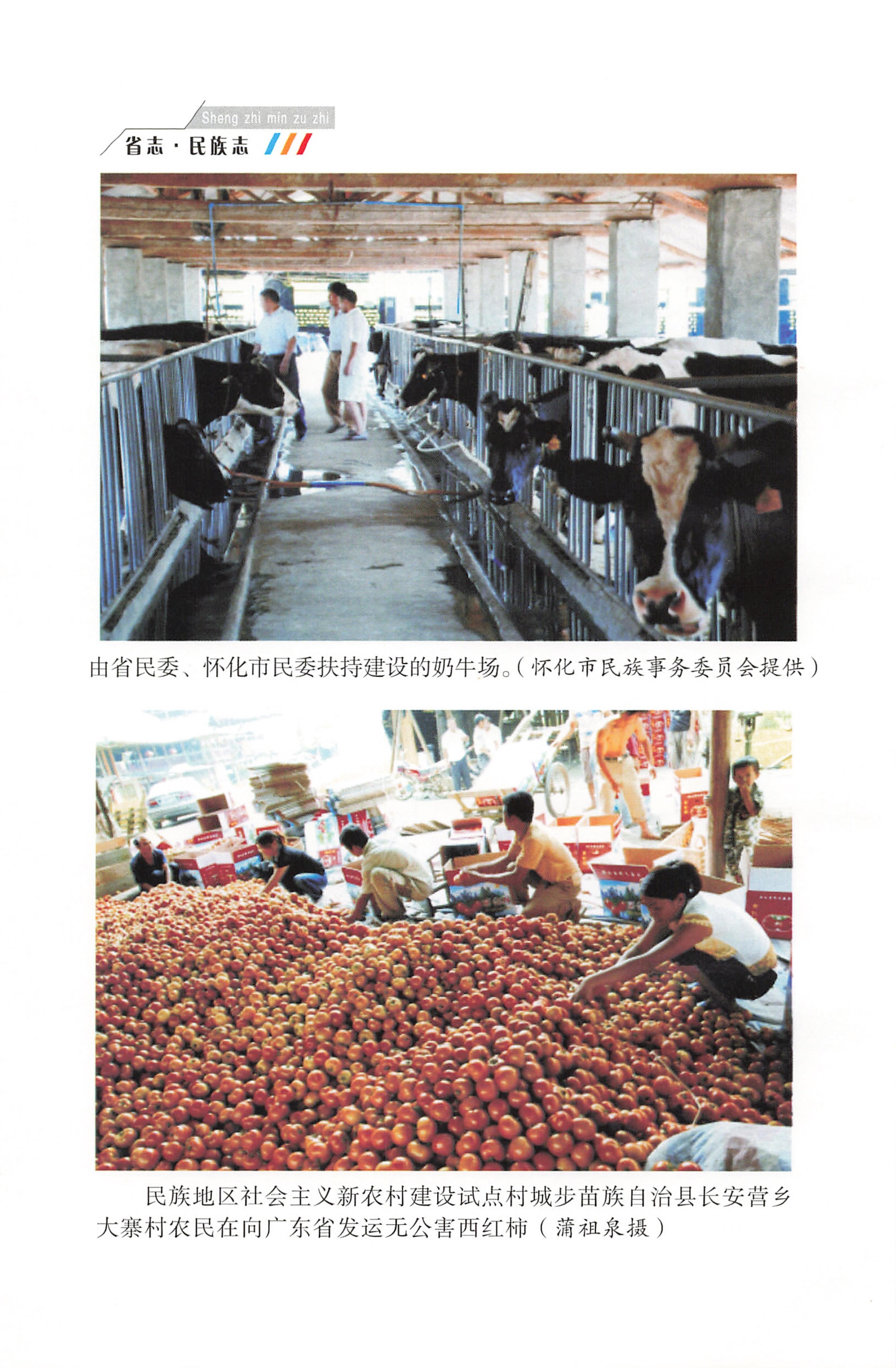 湖南省志1978-2002民族志_30.jpg