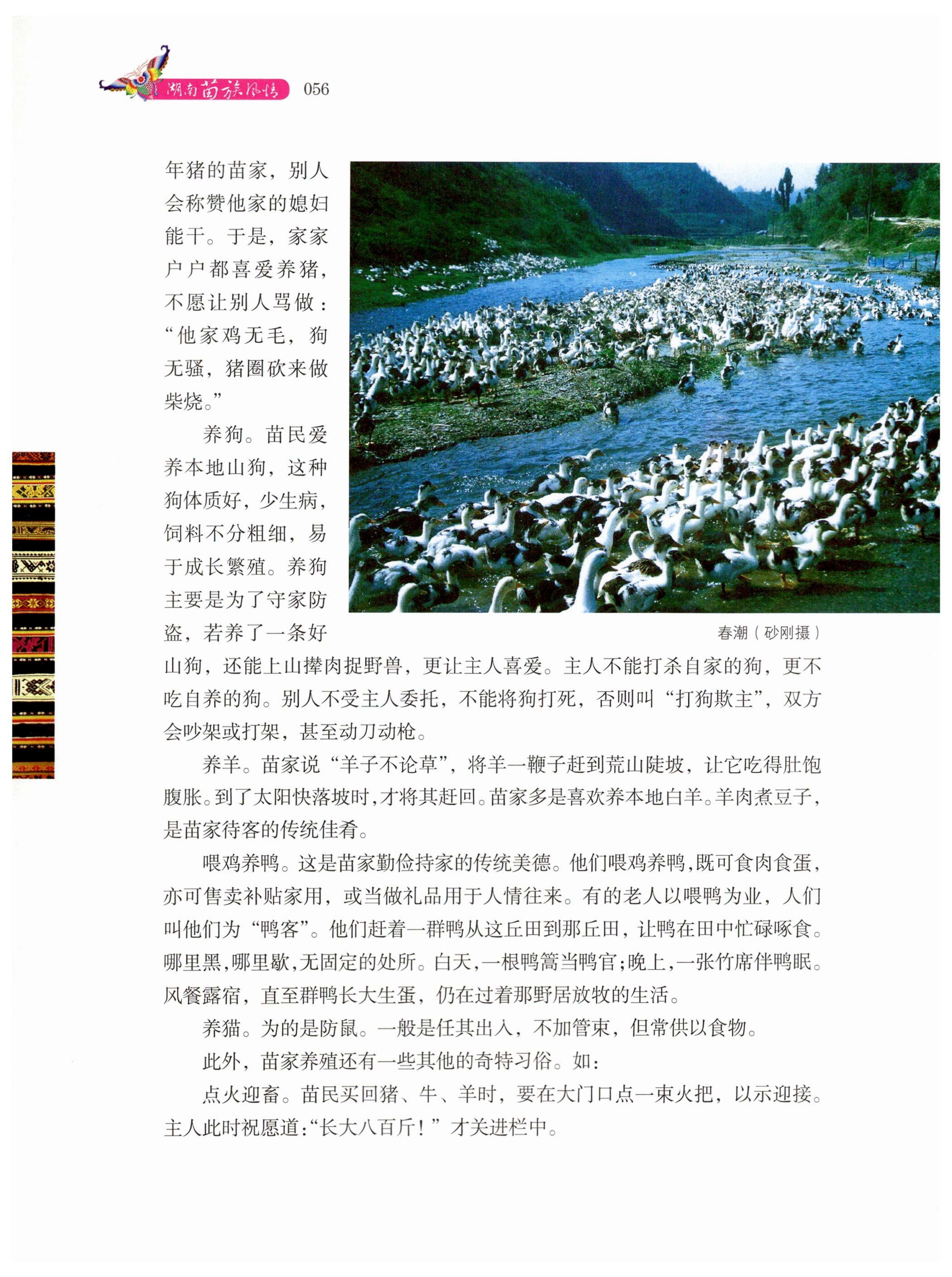 湖南苗族风情_66.jpg