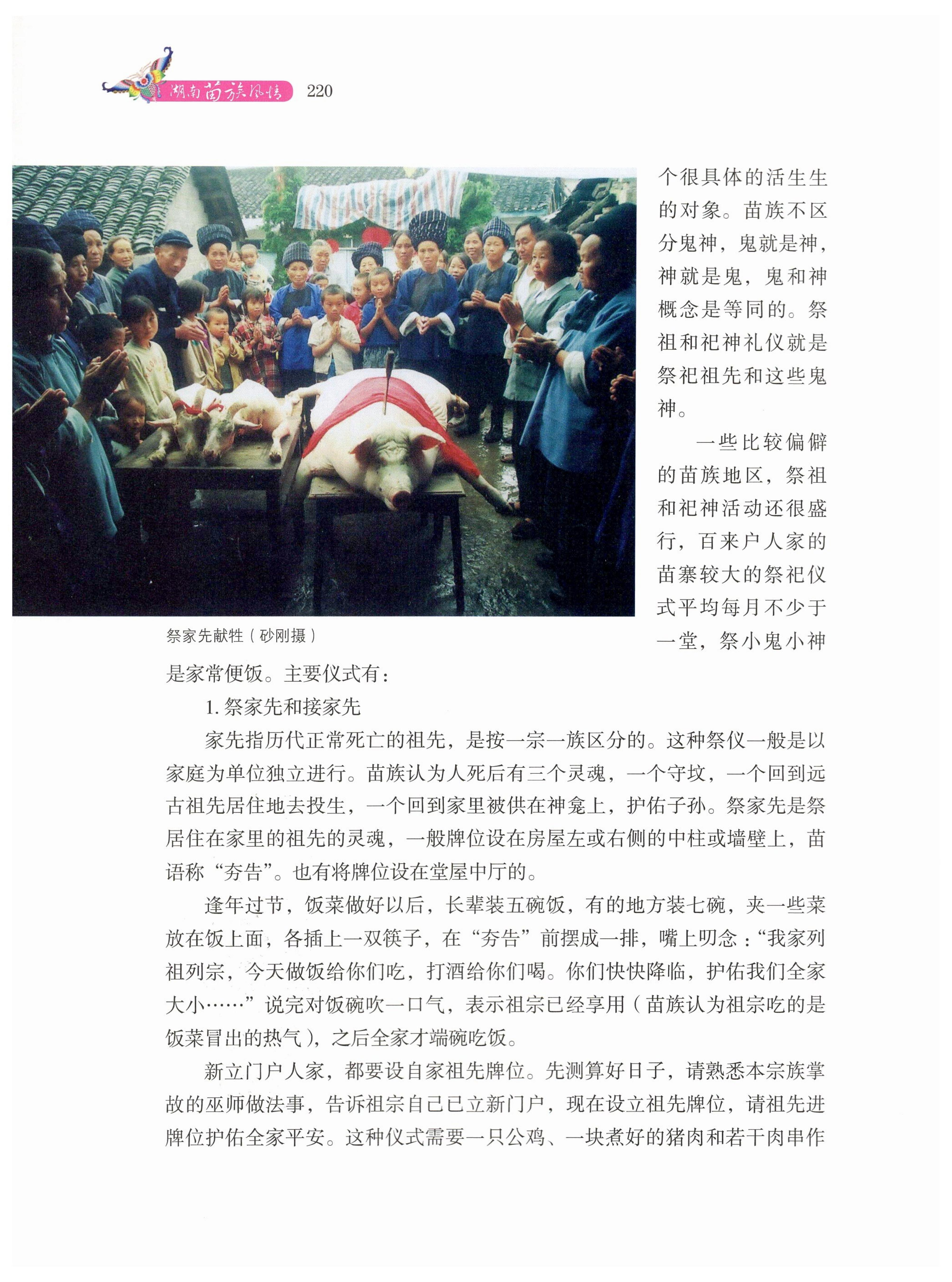 湖南苗族风情_230.jpg