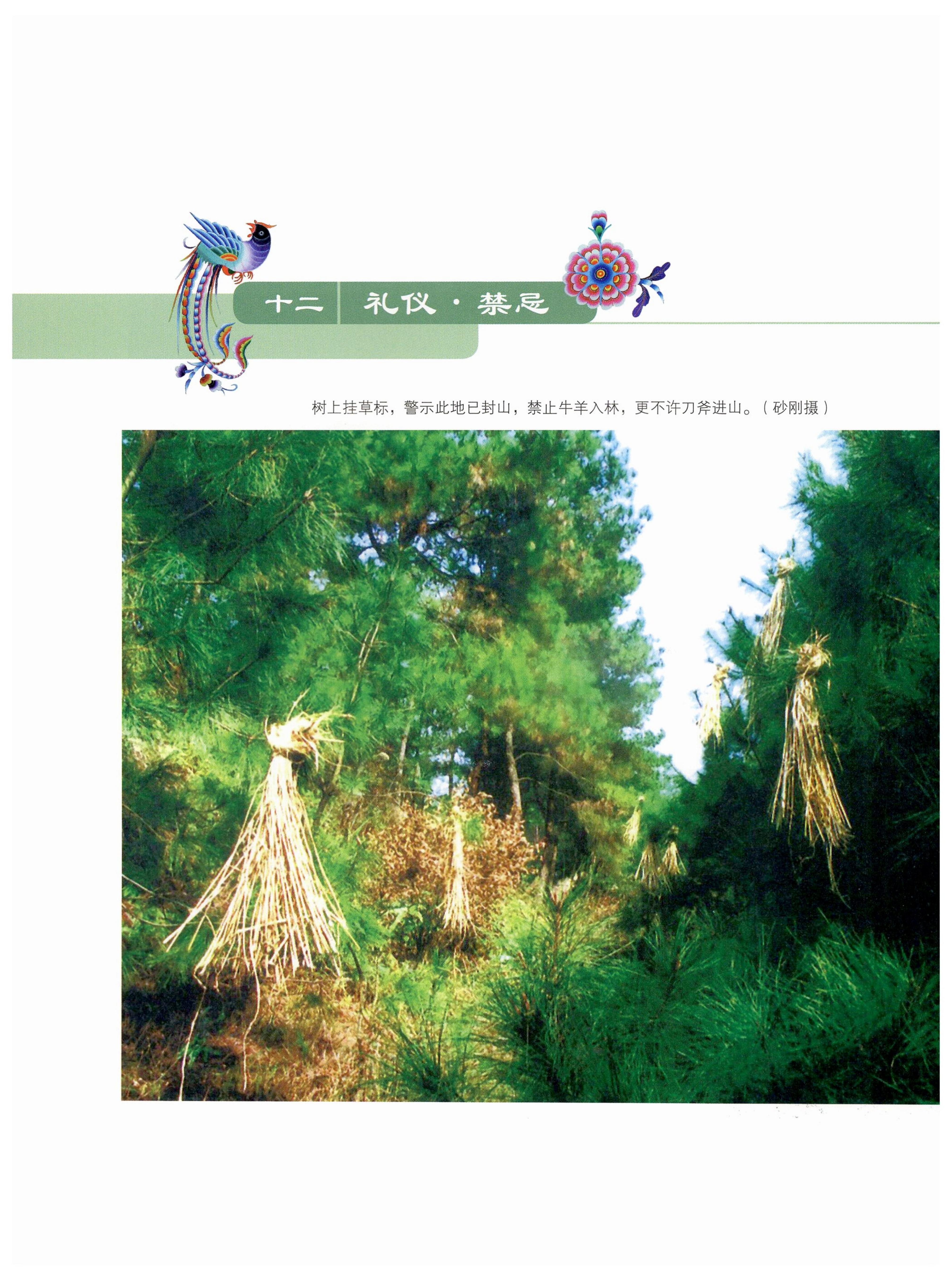 湖南苗族风情_227.jpg