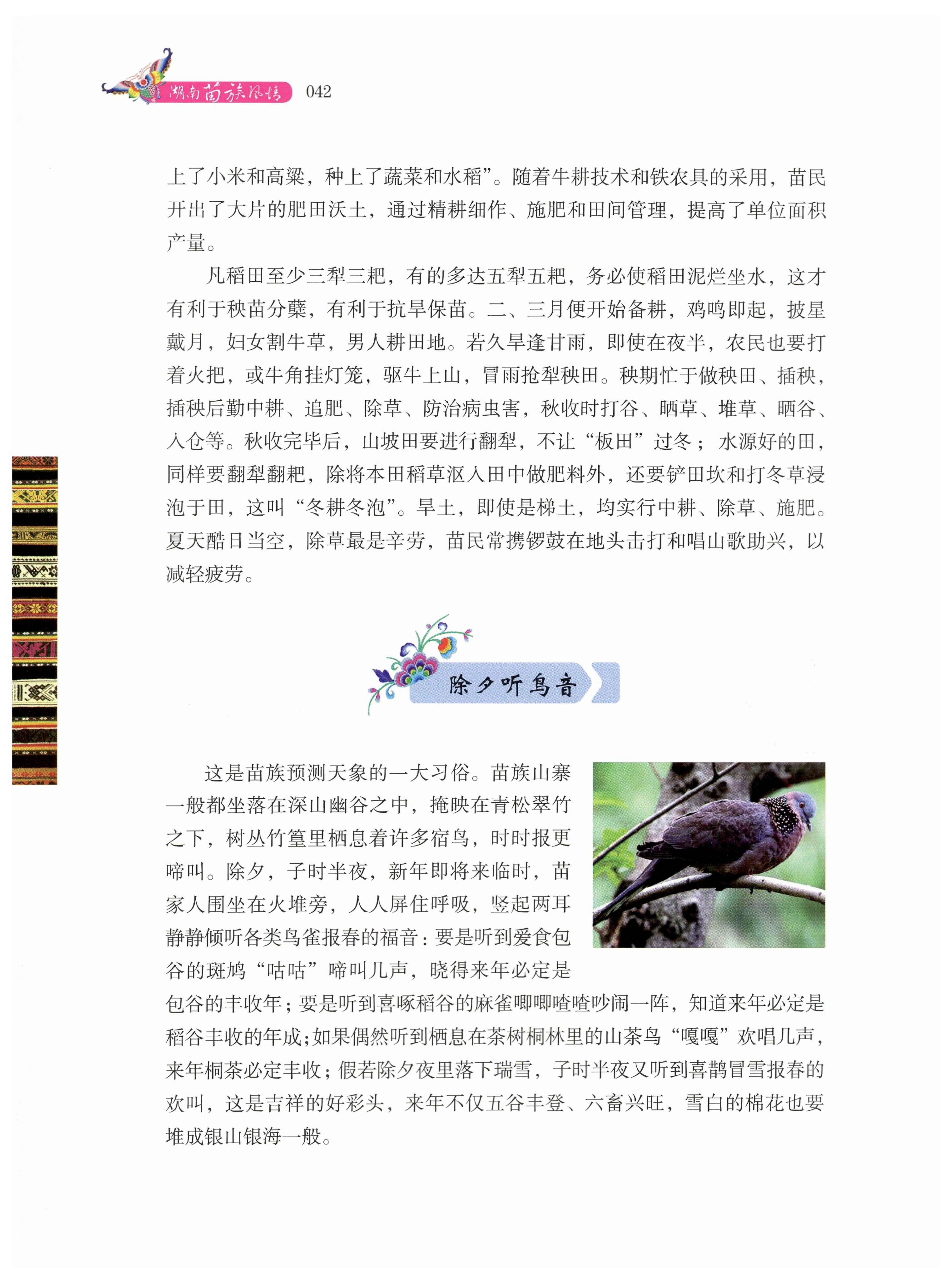 湖南苗族风情_52.jpg