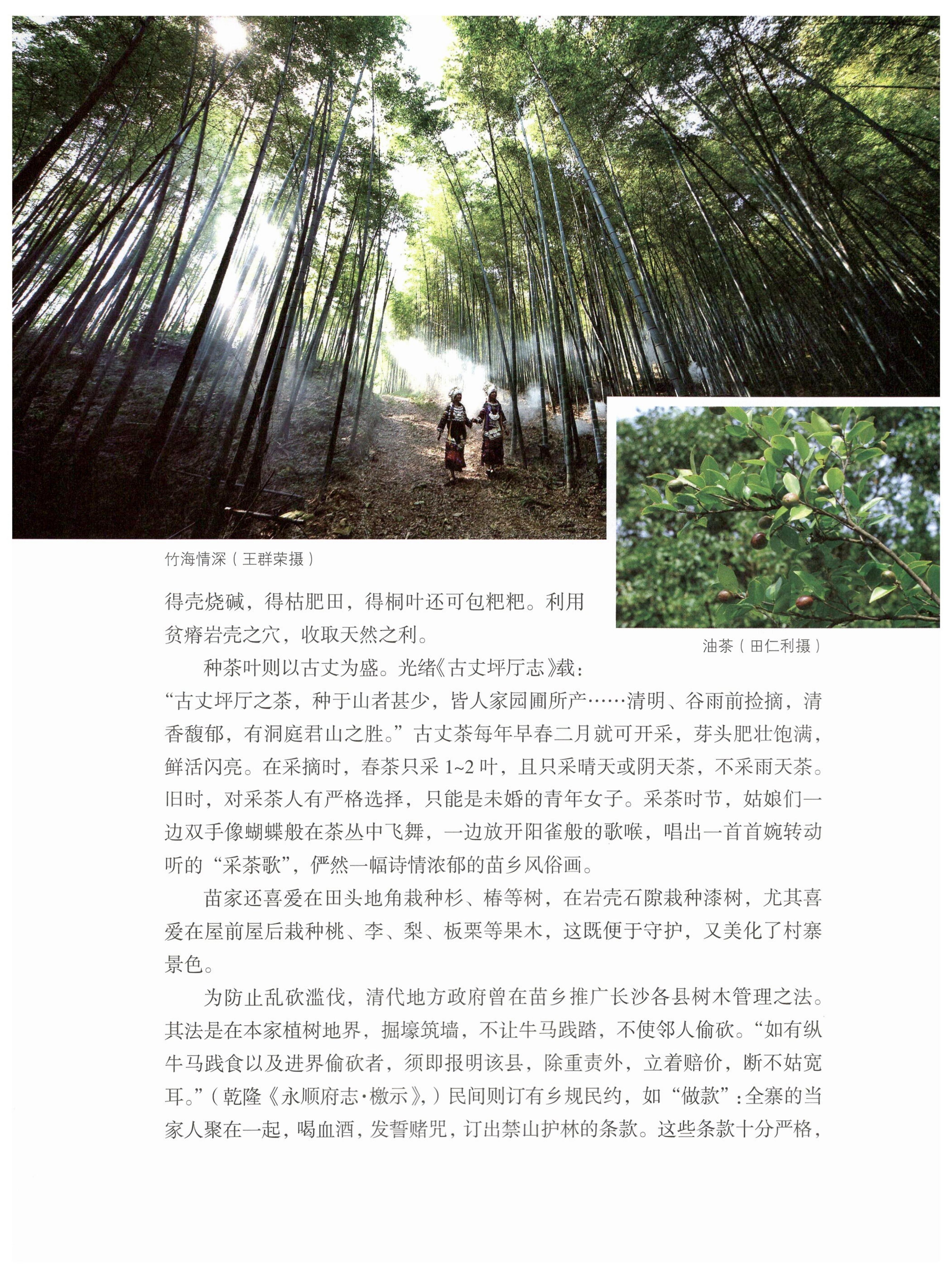 湖南苗族风情_62.jpg